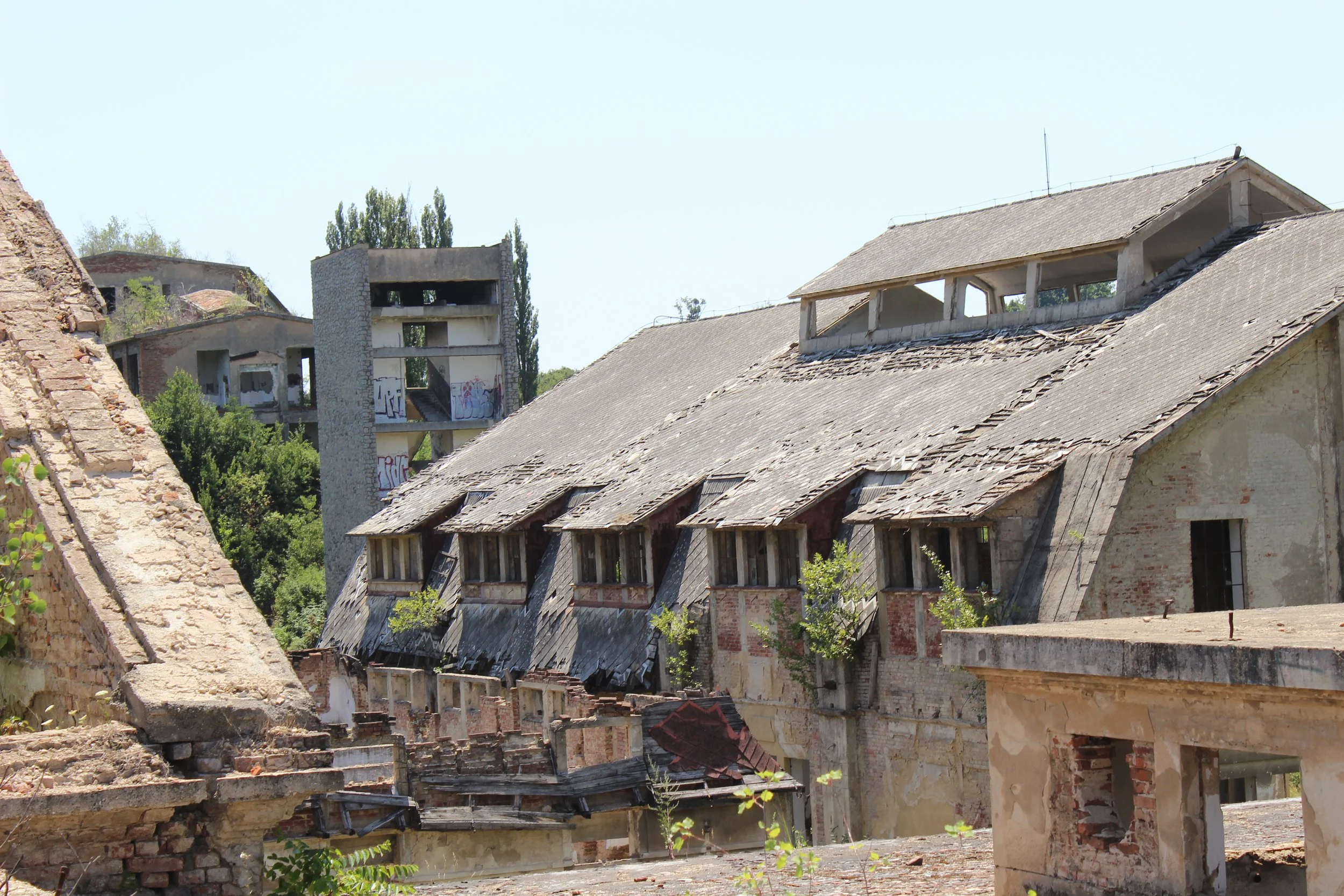 Verfallene, verlassene Gebäude mit bröckelnden Dächern und Graffiti an den Wänden, umgeben von Bäumen und an einem klaren Tag.
