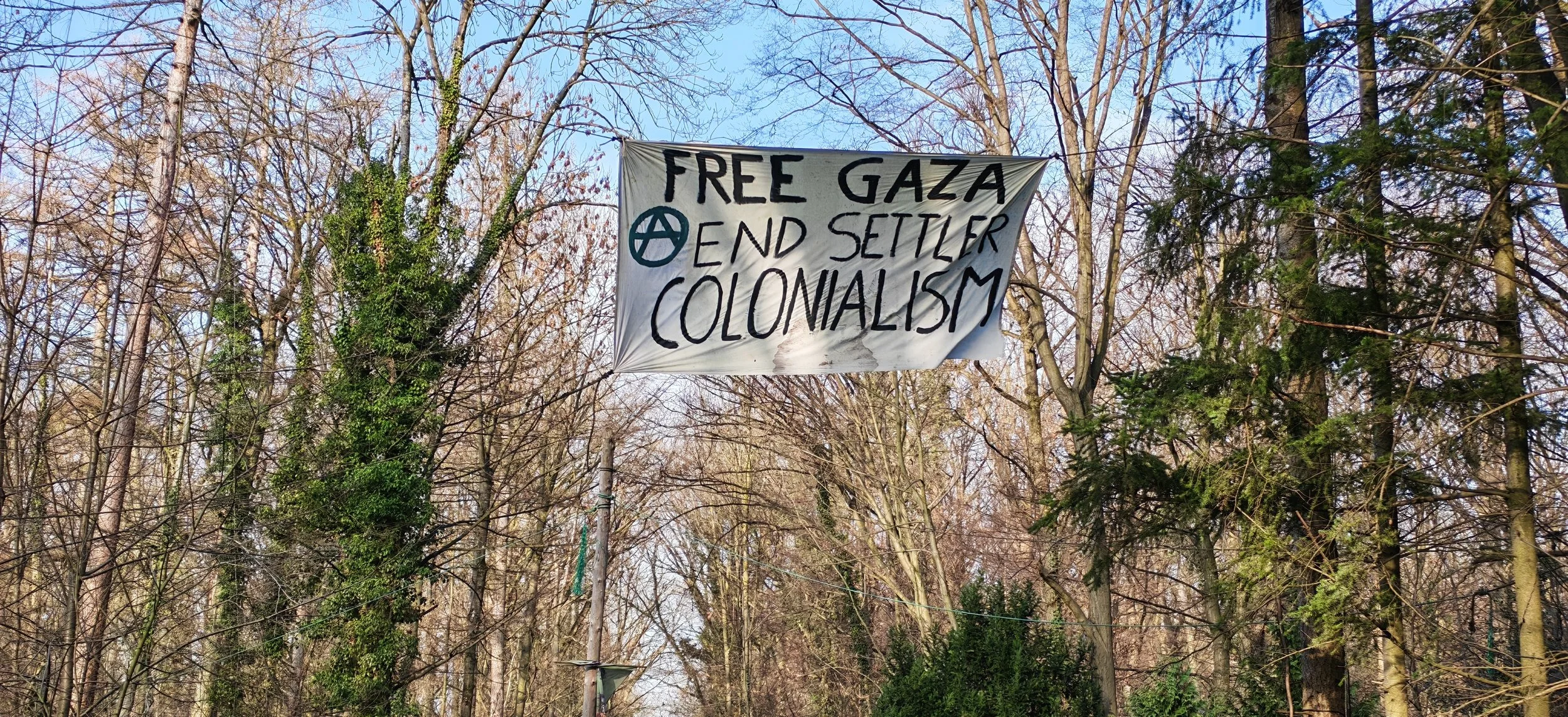 Ein Transparent mit der Aufschrift 'Free Gaza, End Settler Colonialism' hängt zwischen Bäumen in einem Wald. Das Banner ist weiß mit schwarzem Text und einem umkreisten Palästinenser-Flaggenzeichen.