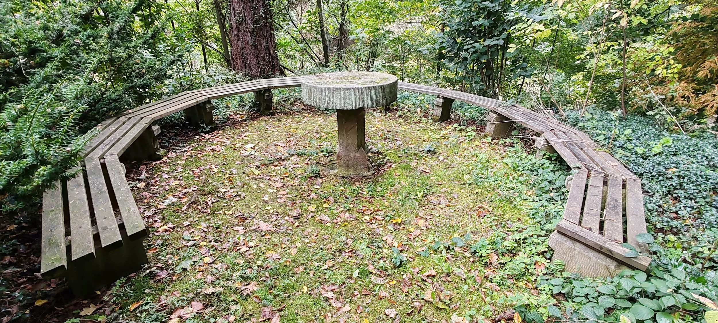 Ein hölzerner Sitzbereich mit gebogener Bank und einem runden Tisch in einem bewaldeten Bereich mit Bäumen und Grünpflanzen.