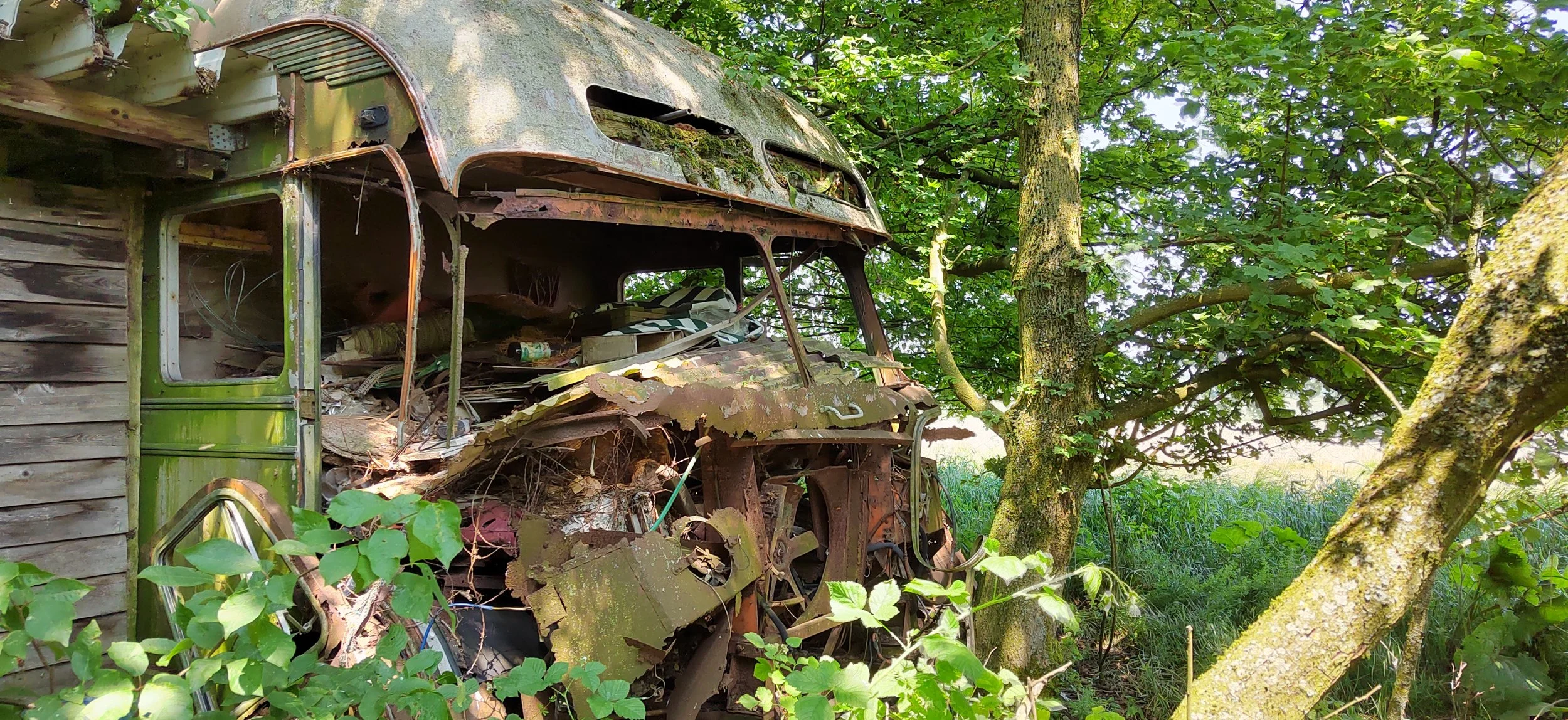 Verrosteter, verlassener Bus im Grünen, umgeben von Bäumen und Pflanzen, neben einem Holzgebäude.