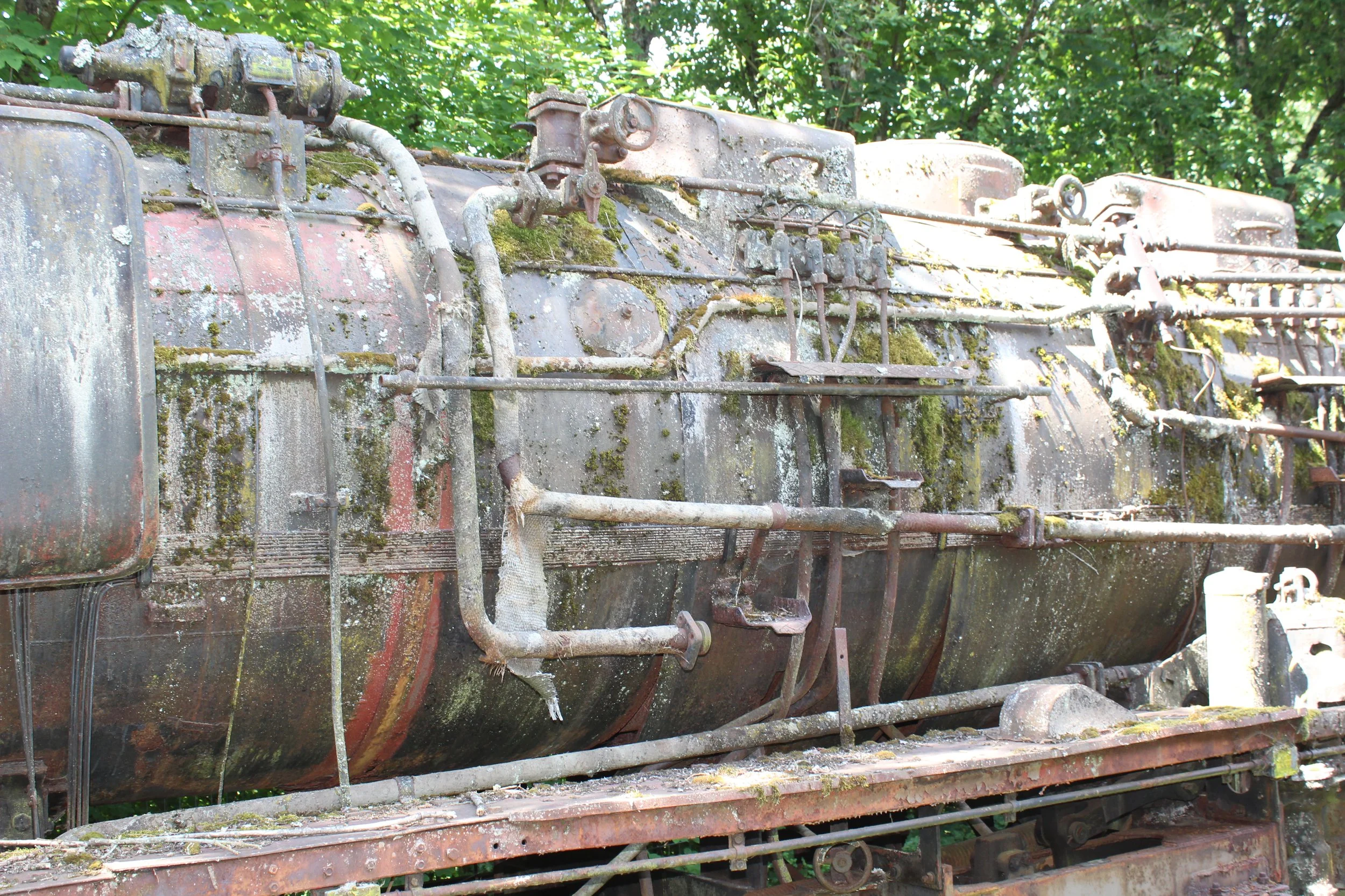 Alte, verrostete Lokomotive mit Moosbewuchs, im Freien, umgeben von Bäumen.