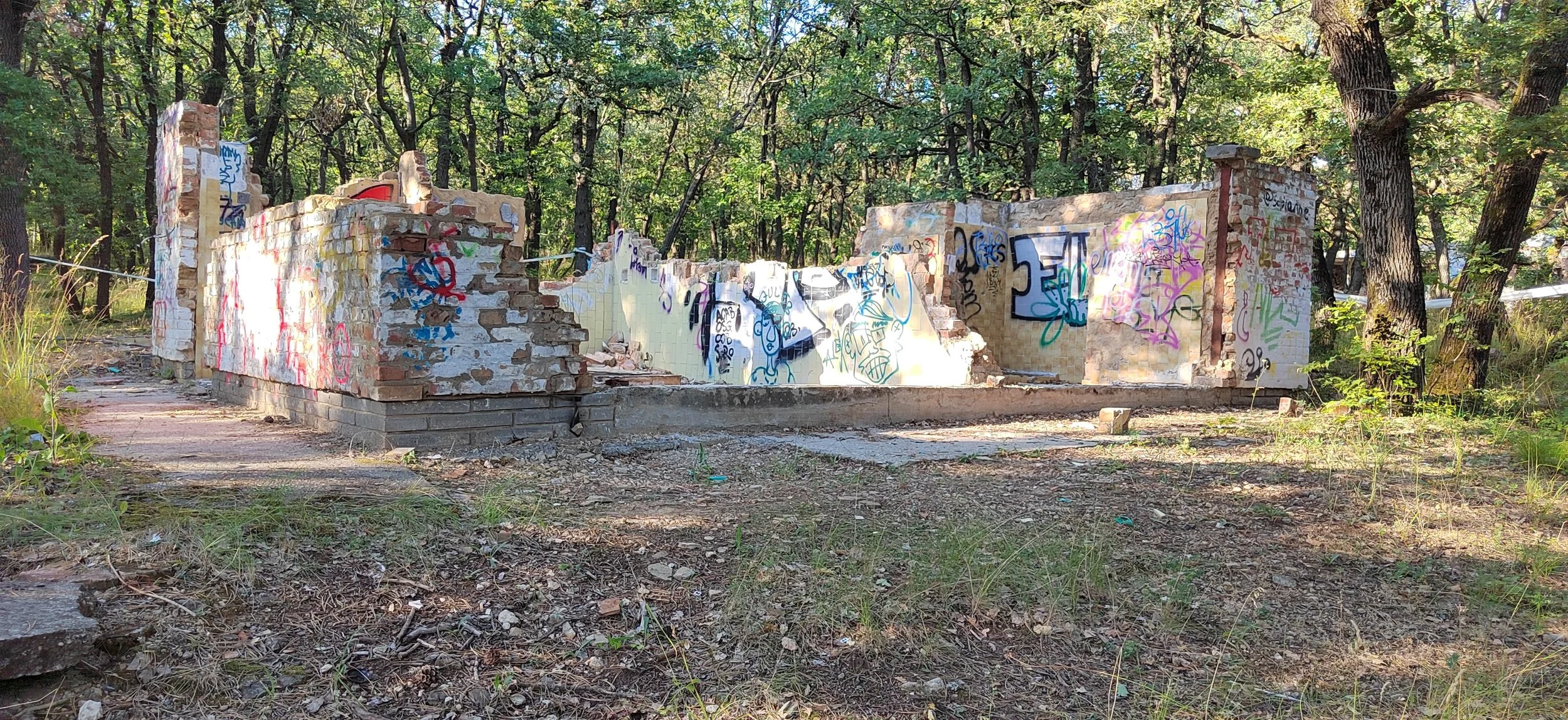 Verfallene Mauerreste eines Gebäudes in einem Wald, mit Graffiti bemalt.