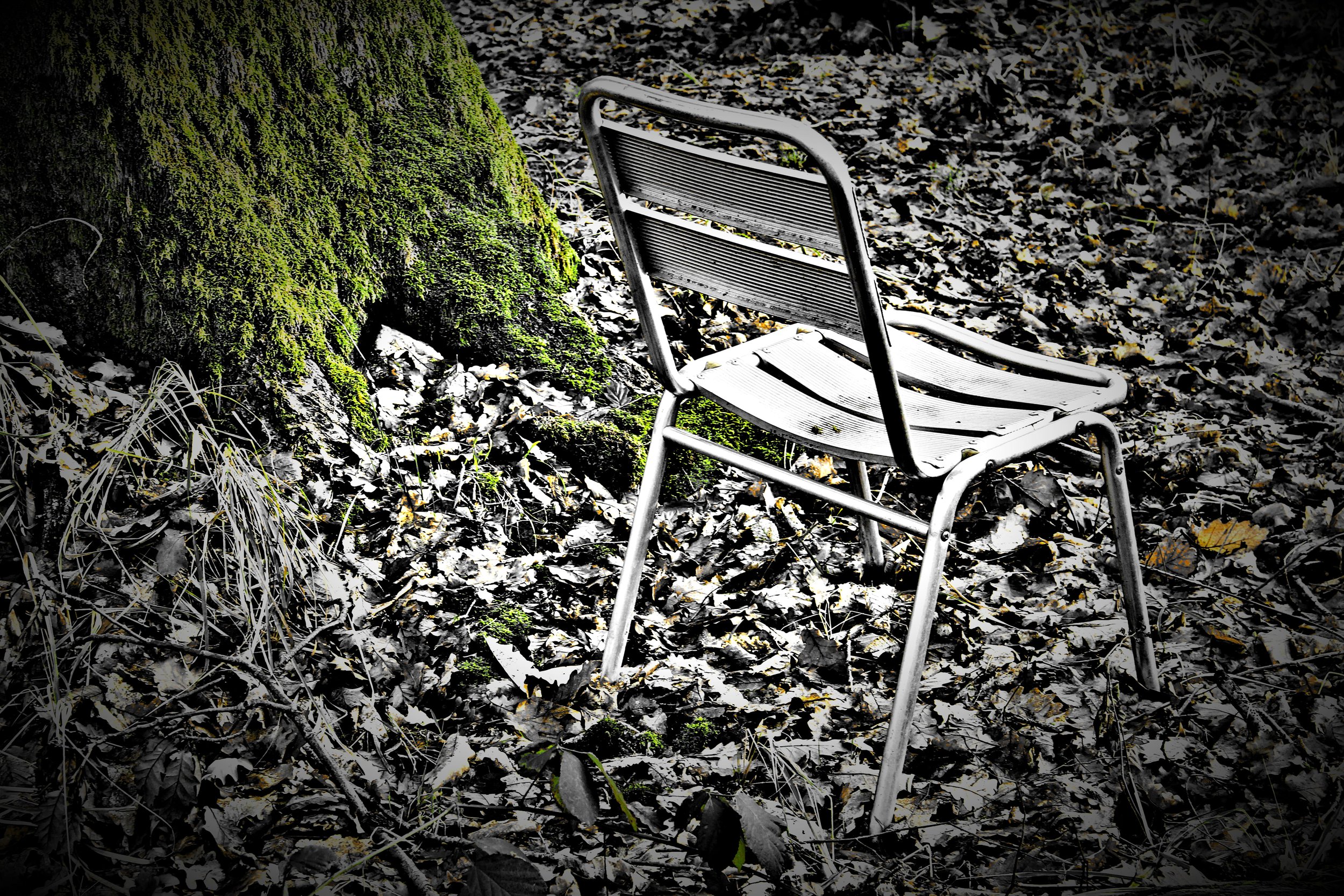 Ein verlassener Metallstuhl liegt auf einem Laub bedeckten Waldboden neben einem moosbedeckten Baumstamm.
