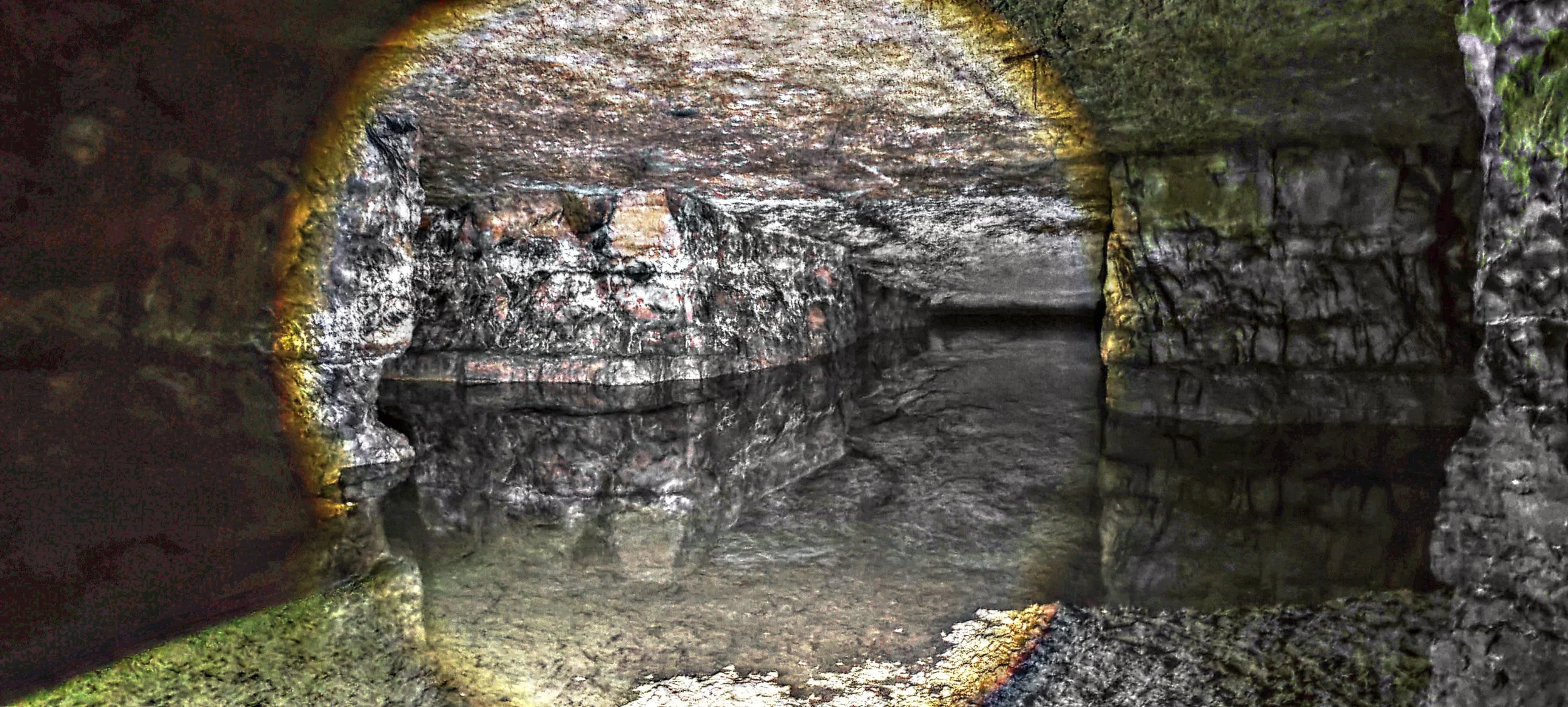 Ein natürlicher Höhlenraum mit nassen, glatten Felswänden, einem flachen Wasserbecken und kleinen Pflanzen an den Rändern.