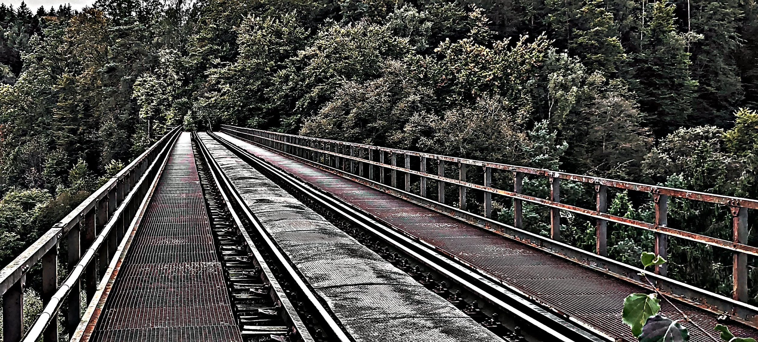 Eisenbahnbrücke in einem Wald mit grünen Bäumen
