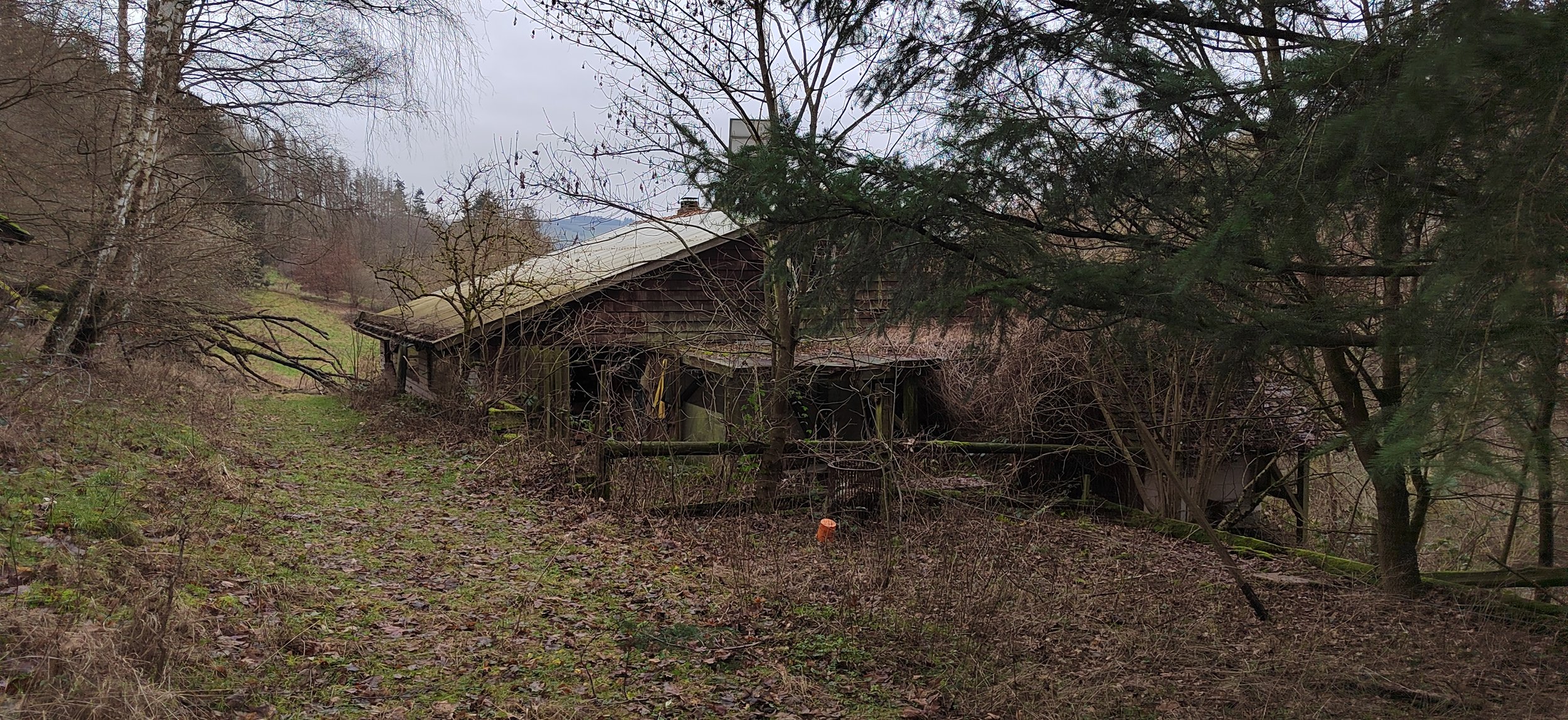 Verfallenes, vernachlässigtes Holzhaus im Wald, von Bäumen und Gestrüpp umgeben, auf einem grünen, bewachsenen Pfad bei bewölktem Himmel.