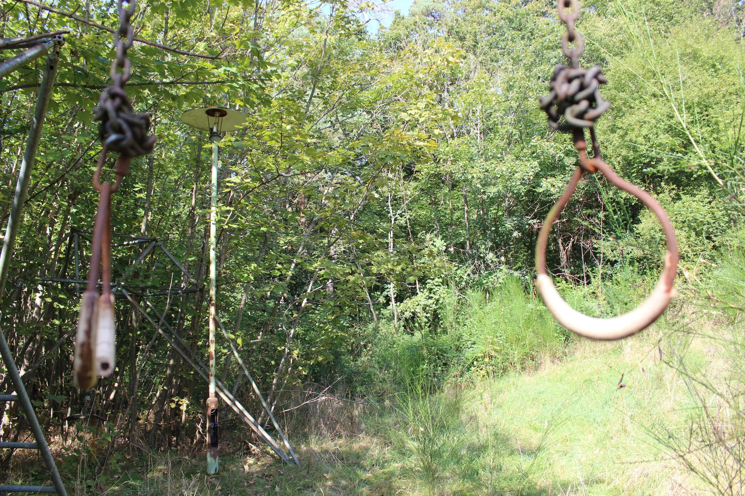 Ein Spielplatz im Wald mit Seilgriffen und Klettergerüst, umgeben von Bäumen und Gras.