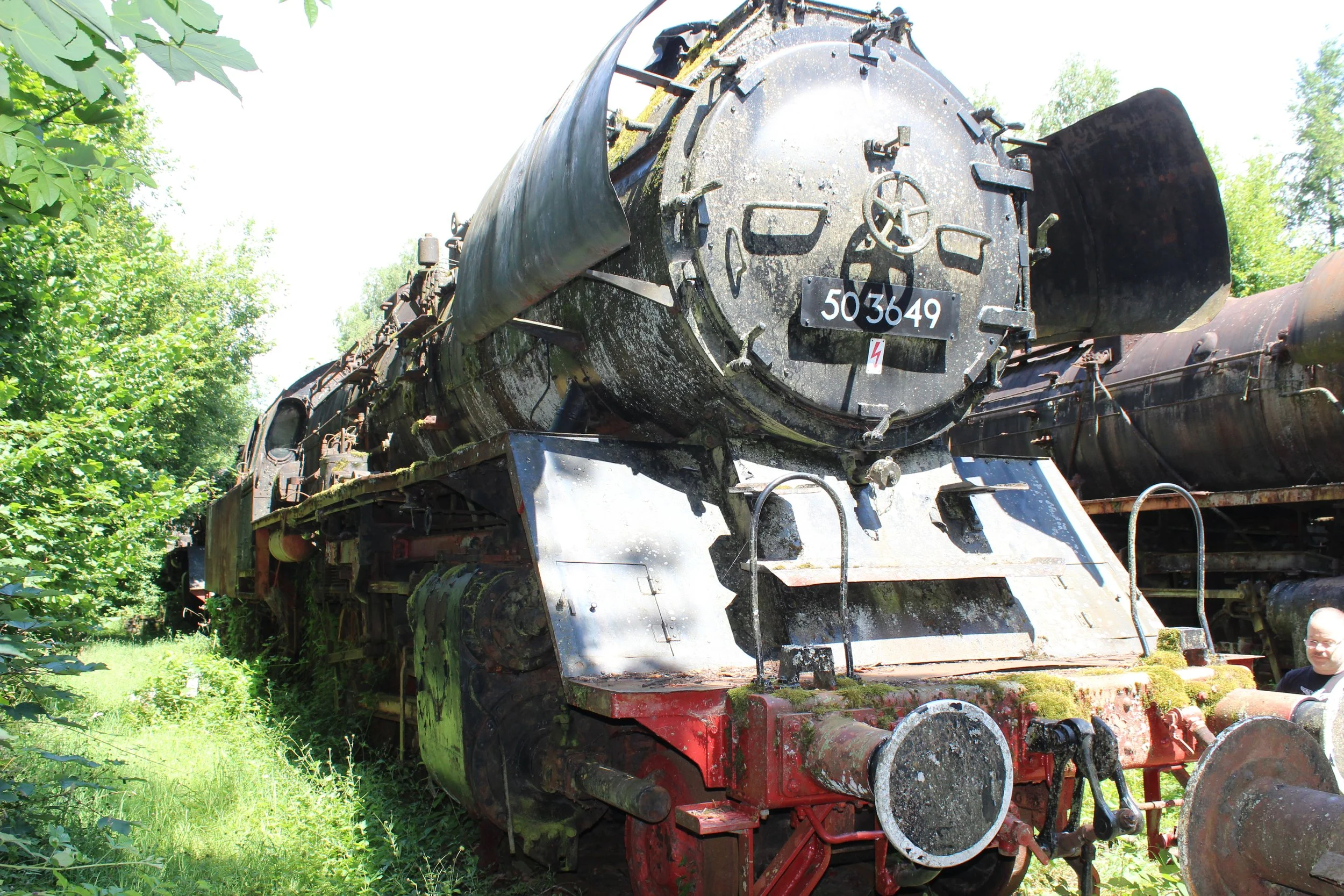 Verrostete alte Dampflok auf einem Abstellgleis, umgeben von büschen und bäumen, draußen bei Sonnenlicht.