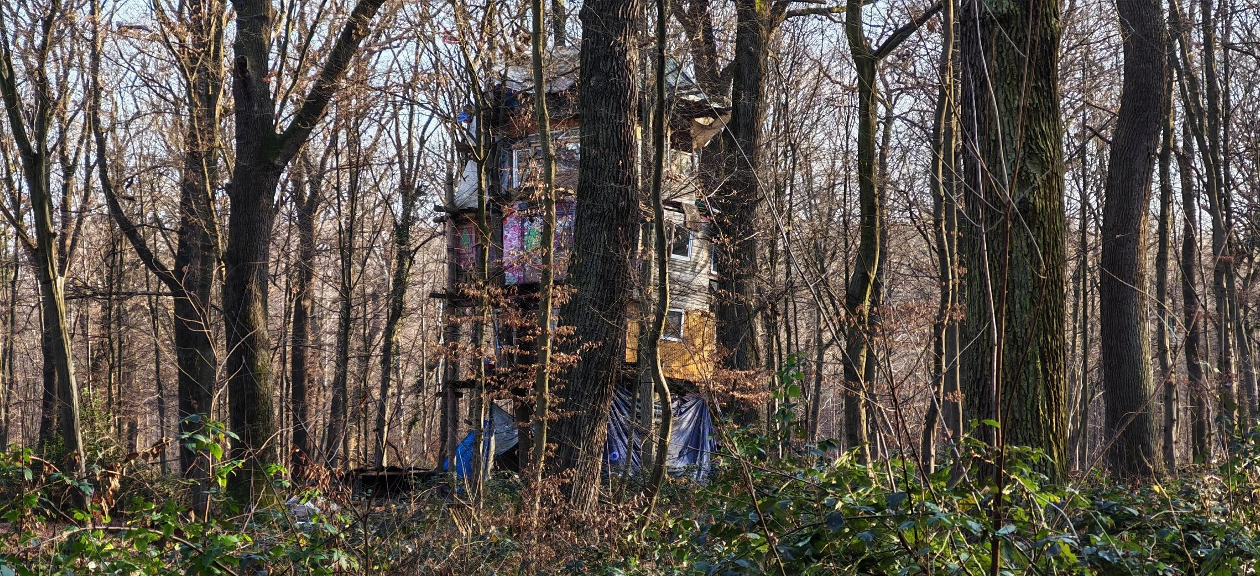 Verfallenes Baumhaus im Wald, umgeben von strauchigem Unterholz und hohen Bäumen, bei Sonnenlicht.