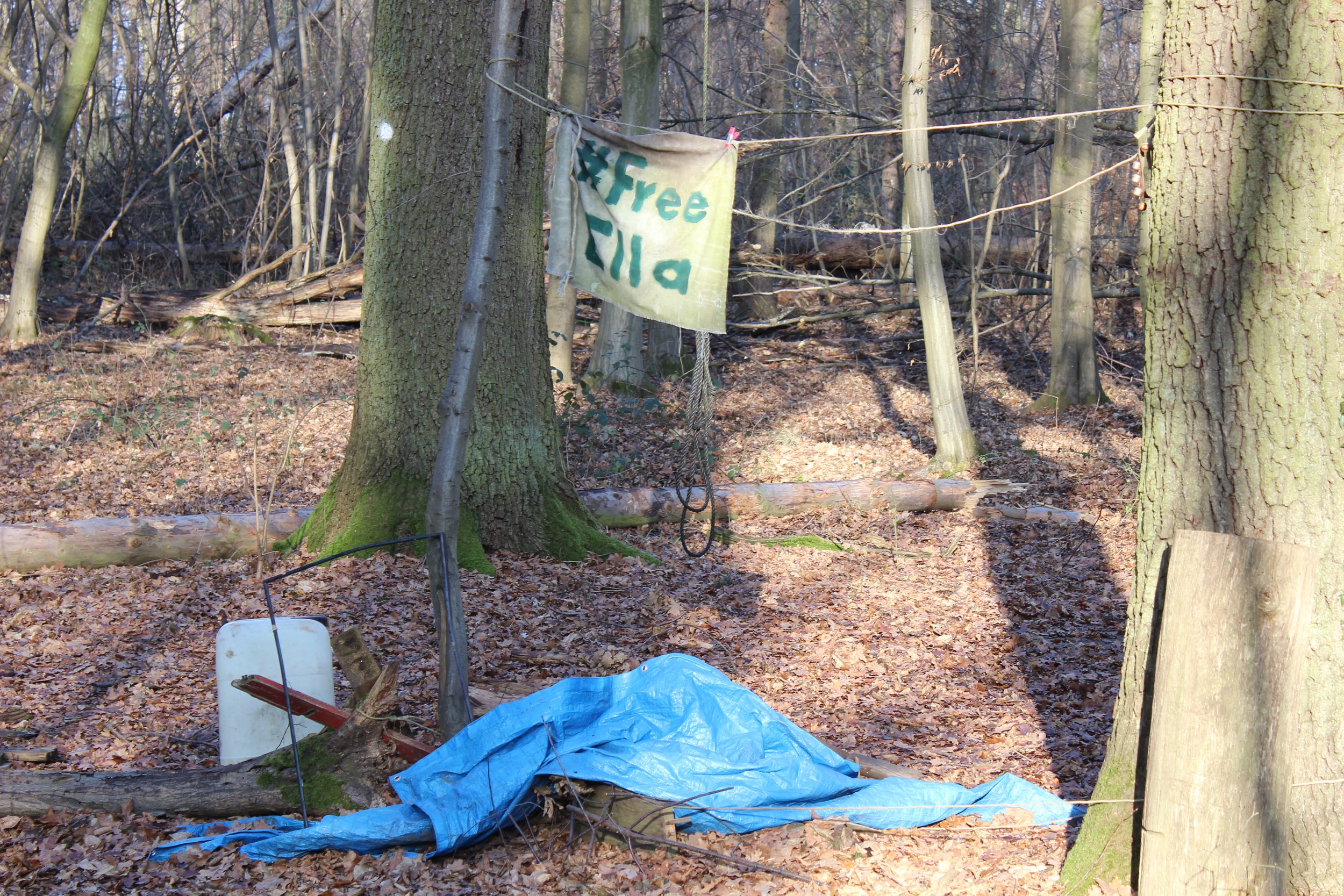 Wald mit Holz und einem handgemachten Schild, das 'Free Ella' sagt, an Bäumen befestigt. Im Vordergrund liegt eine blaue Plane auf dem Boden.