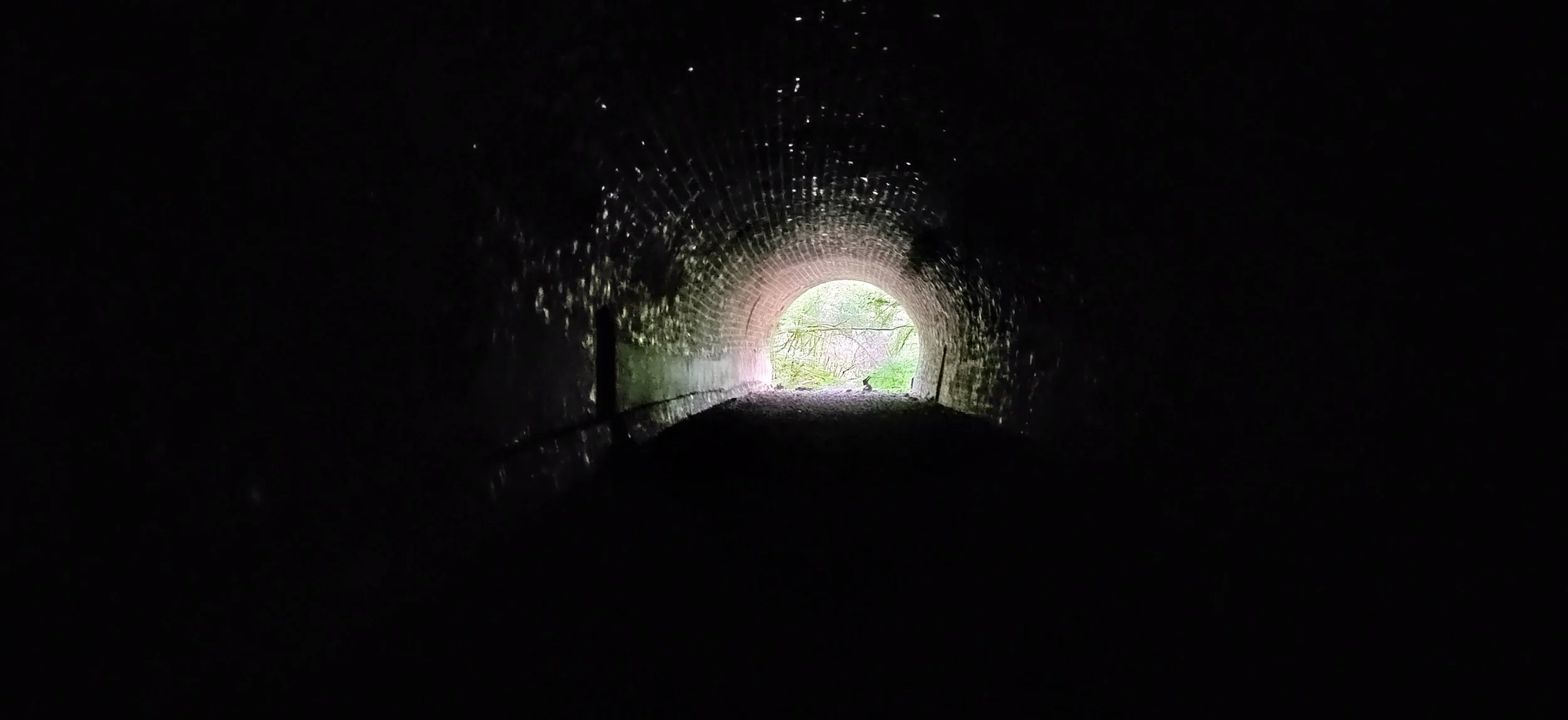 Blick durch einen dunklen Tunnel auf den hell erleuchteten Ausgang mit grünen Büschen und Bäumen im Hintergrund.