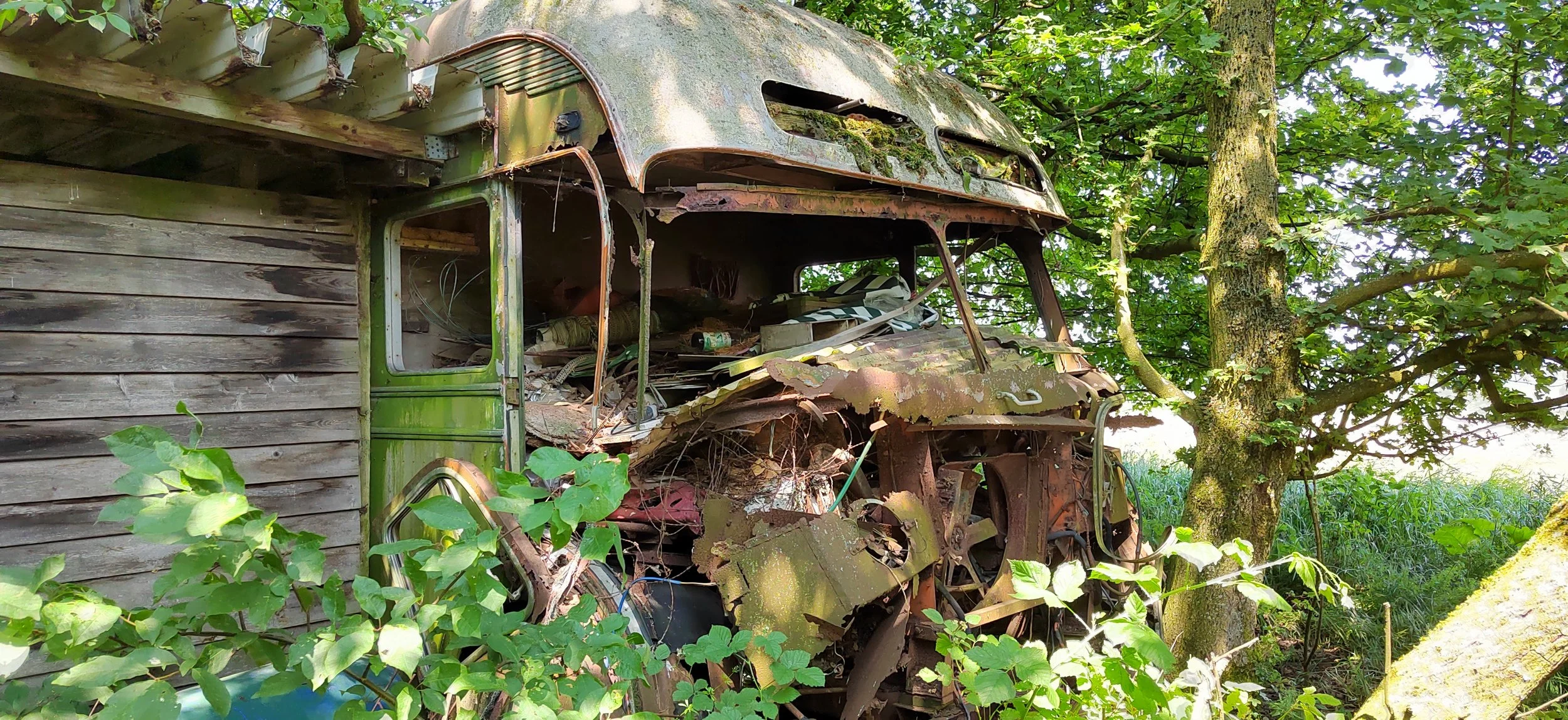 Verrosteter, grüner Kleinbus liegt verlassen im Grünen, umgeben von Pflanzen und Bäumen, alte Holzstruktur im Hintergrund.