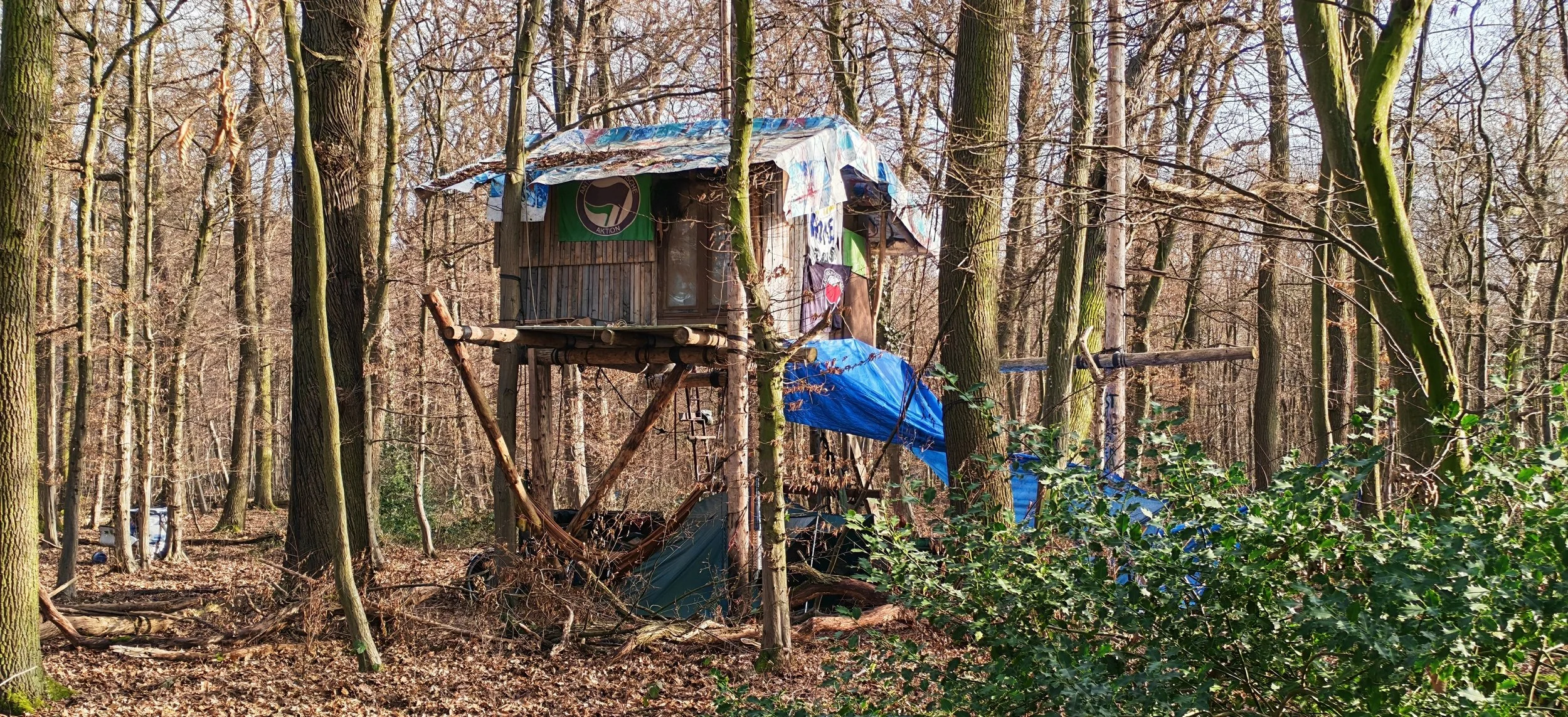 Eine Baumhütte im Wald, gebaut aus Holz und Planen, mit einer Rampe und hängenden Gegenständen, umgeben von Bäumen ohne Laub.