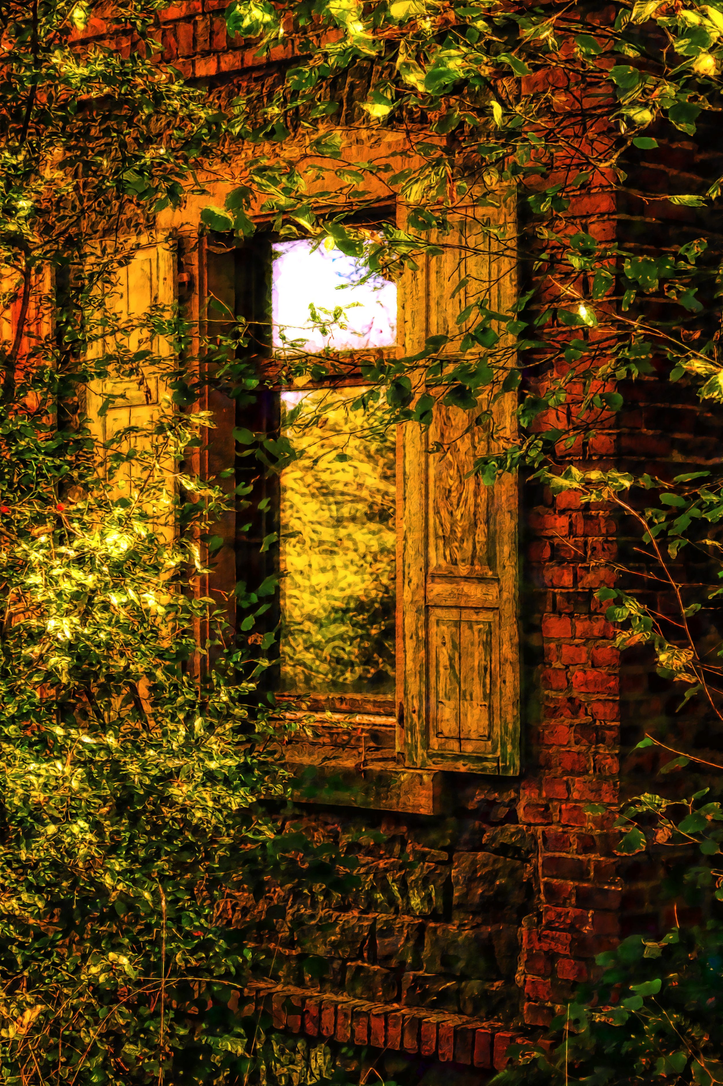 Ein altes Haus mit offenen Fensterläden, umgeben von viel grüner Vegetation, bei Nacht