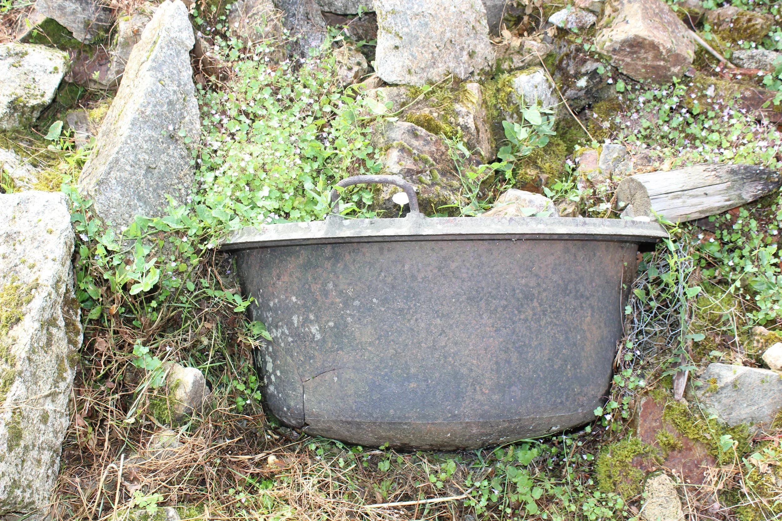 Alte, rostige Metallbadewanne, die in der Natur auf dem Boden liegt, umgeben von Steinen, Pflanzen und Moos.