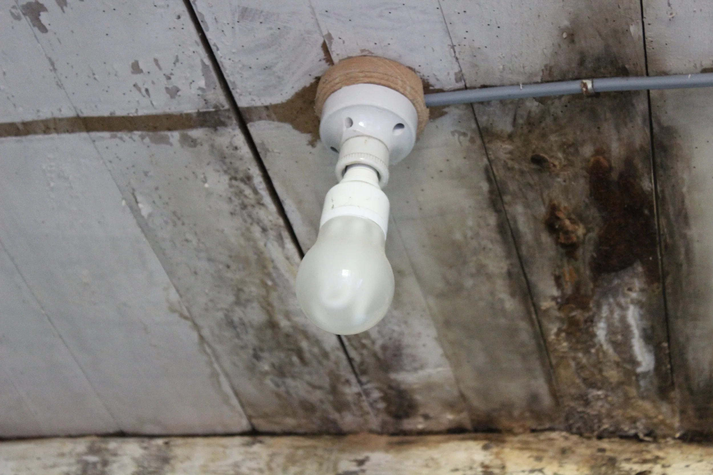 Eine Glühbirne, die an einer Decke angebracht ist, welche schmutzig und mit Schimmelflecken ist.