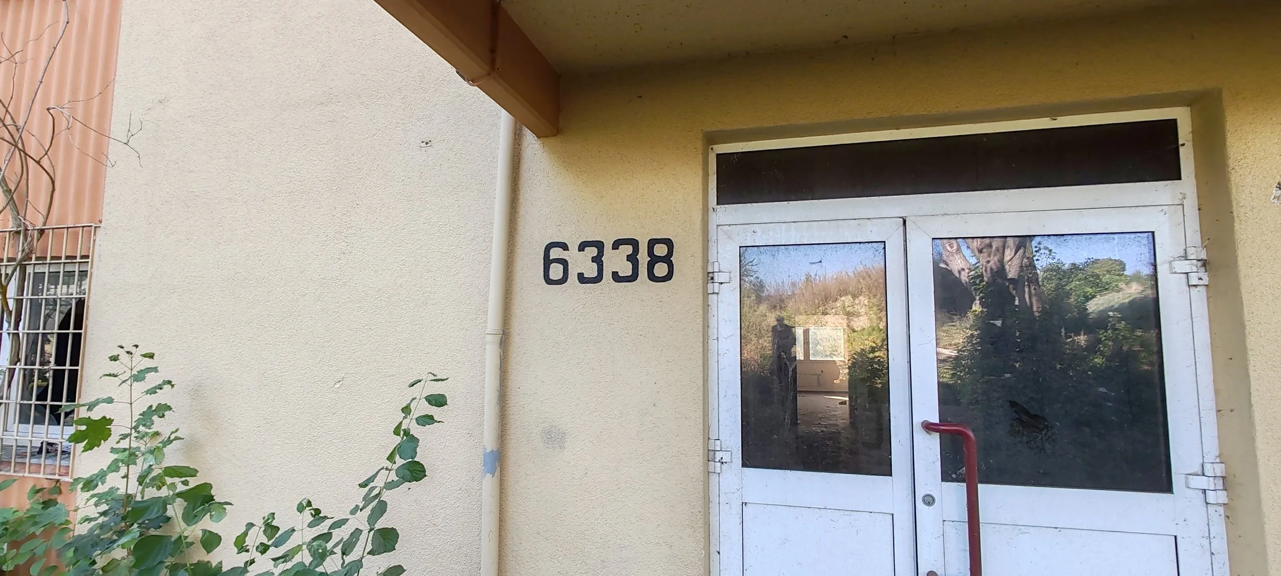 Außenansicht eines Gebäudes mit Hausnummer 6338, gläserne Tür mit Reflexionen, neben einem kleinen Pflanzenstrauch, ein Farbrad auf der Tür und eine Klimaanlage im Hintergrund.