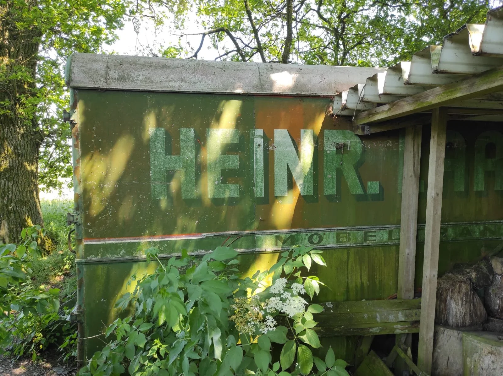 Verrosteter, grüner alter Werbecontainer mit dem Schriftzug 'HENR', umgeben von grünen Blättern und Pflanzen, in einer natürlichen Umgebung mit Bäumen im Hintergrund.