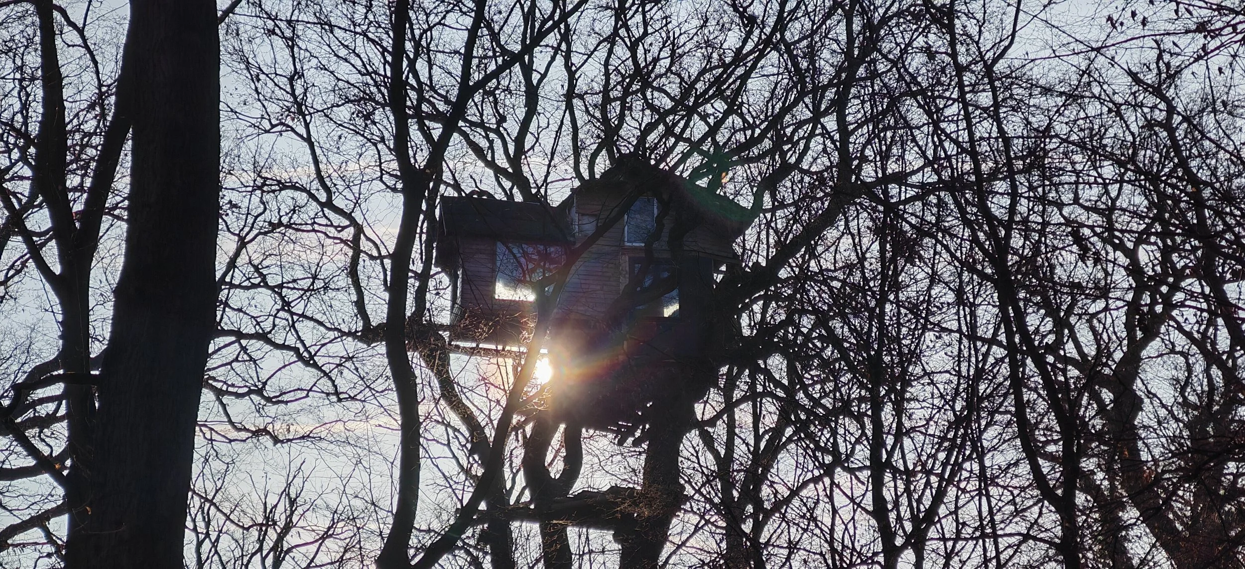 Ein Baumhaus befindet sich hoch in den Ästen eines Baumes, die Sonne scheint durch die Zweige, es ist Winter oder Spätherbst, da die Blätter fehlen.