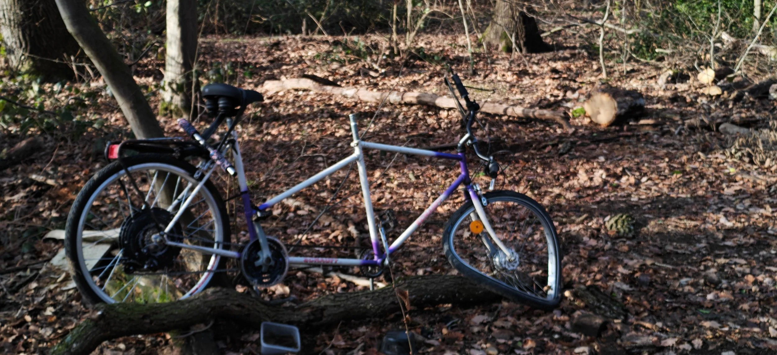 Ein Fahrrad liegt auf dem Boden eines Waldes, umgeben von Blättern und Ästen.