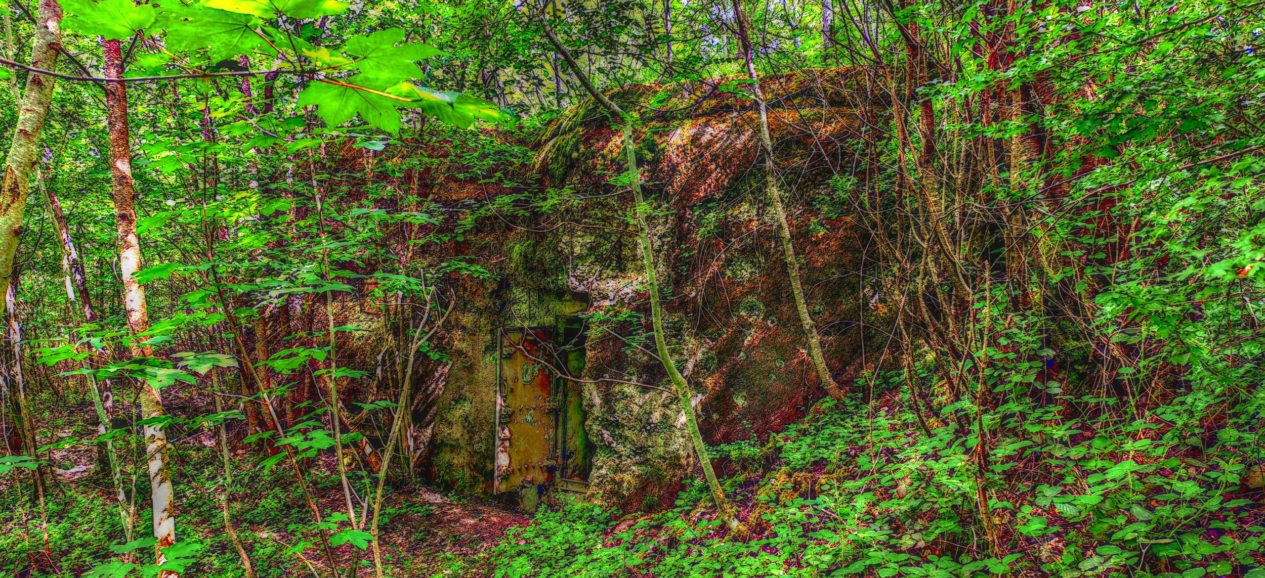 Dschungel mit Bäumen, Blättern, Sträuchern und einem versteckten alten rostigen Metall Tür in einem Felsen.