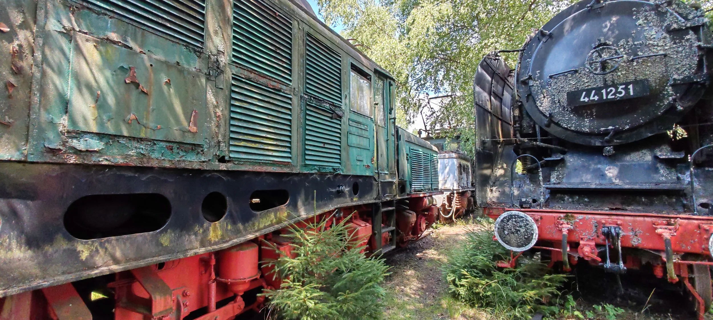 Zwei alte, verrostete Dampflokomotiven im Freien, umgeben von grünen Bäumen und Pflanzen.