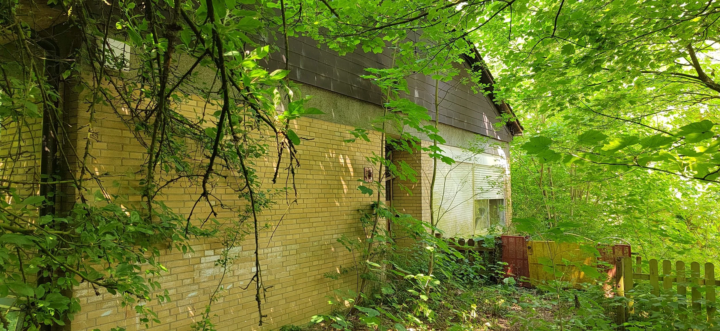Ein Haus in einem dichten, grünen Garten mit vielen Blättern und Ästen, teilweise verdeckt von Laub, mit einem Zaun im Vordergrund.