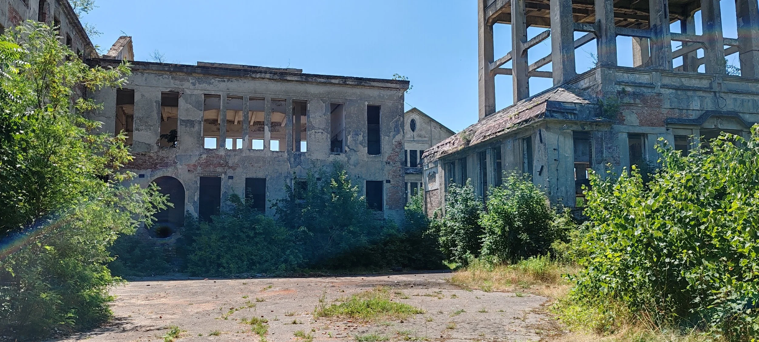 Verfallene, verlassene Gebäude mit zerfallenen Wänden, umgeben von üppigem Grün und Büschen, bei sonnigem Himmel.