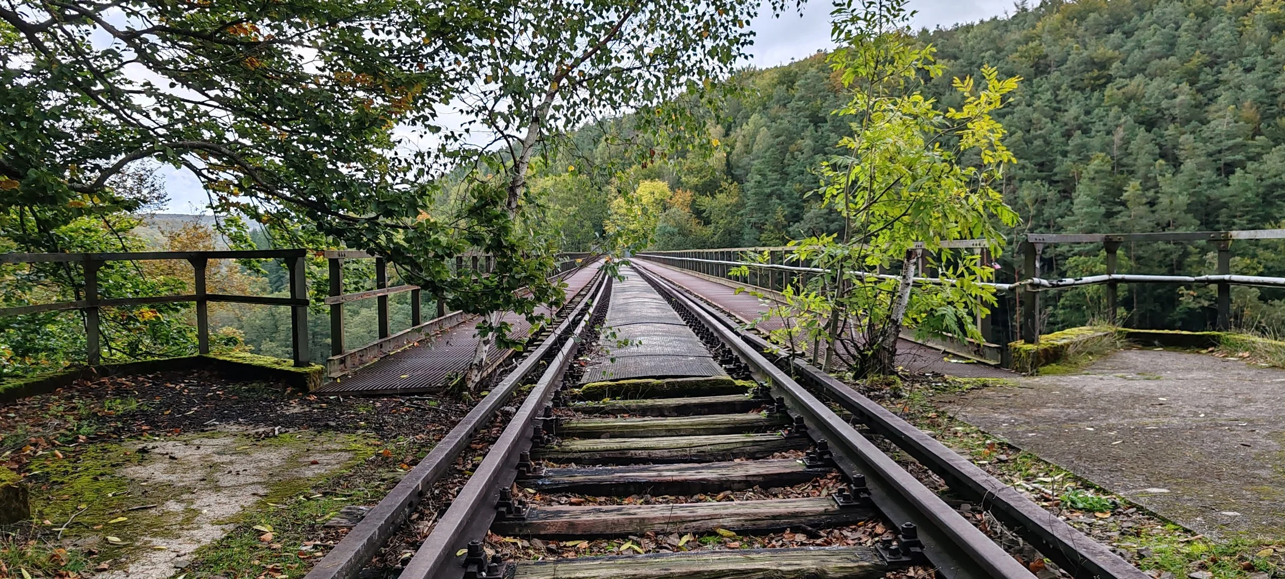 Alte Eisenbahnbrücke inmitten eines dichten Waldes, mit schmalen Schienen und einem verwitterten, wackeligen Holzüberweg.