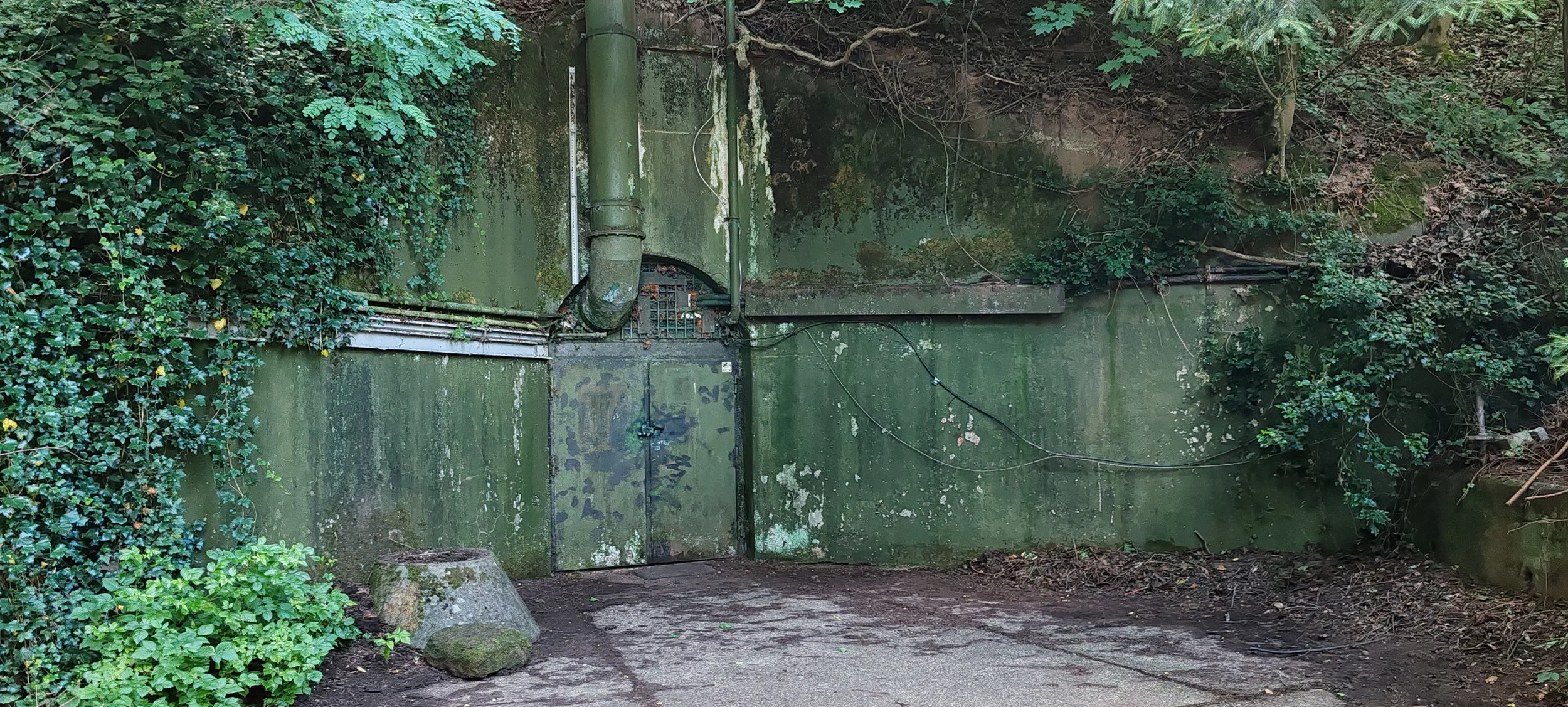 Ein grüner, wetterfester Kasten mit einer Tür, eingebaut in eine bewachsene Felsenwand, mit einer Abwasserleitung oben, Kabeln und weiteren Installationen.