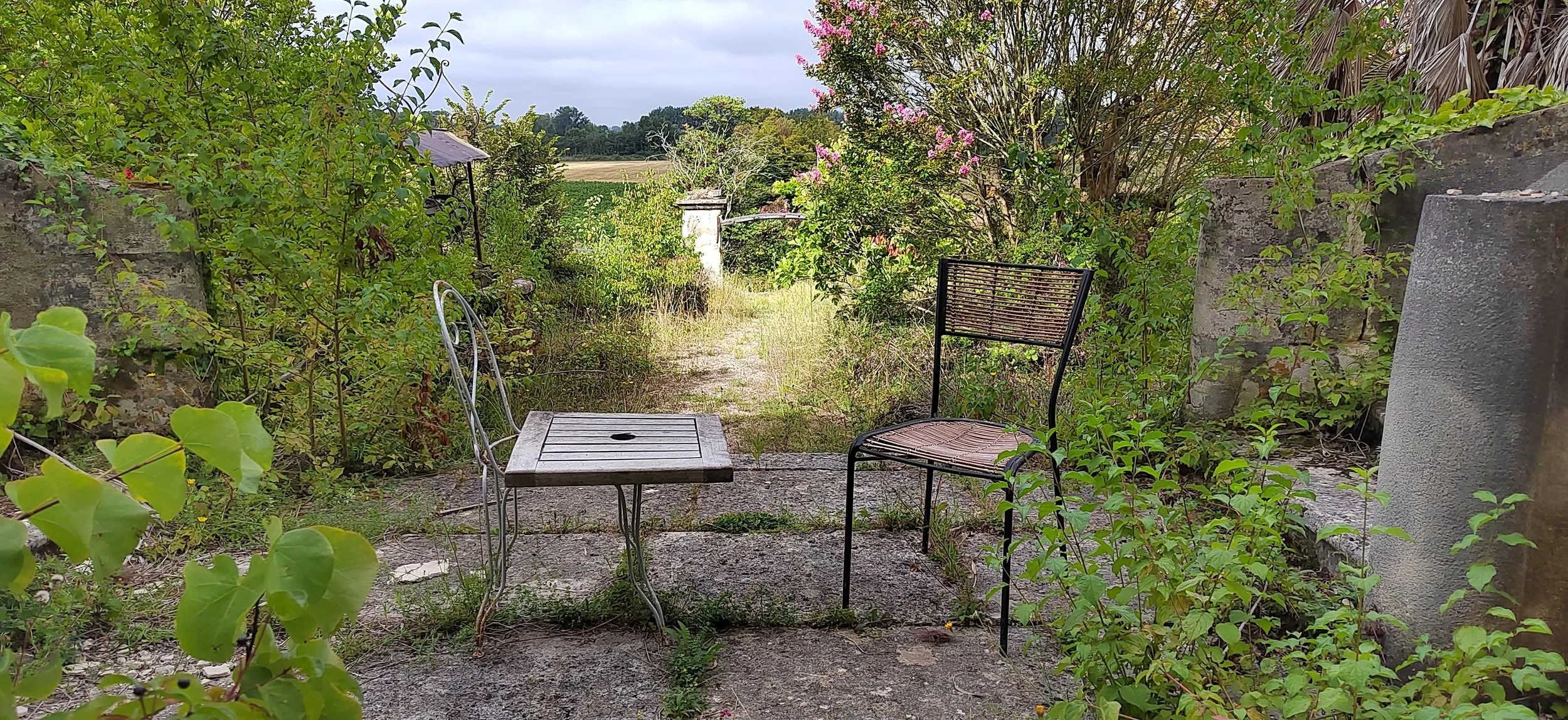 Zwei Gartensessel, ein kleiner Beistelltisch, umgeben von grünen Pflanzen und Blumen, blick auf einen Garten mit offenen Feld im Hintergrund, bewölkter Himmel.