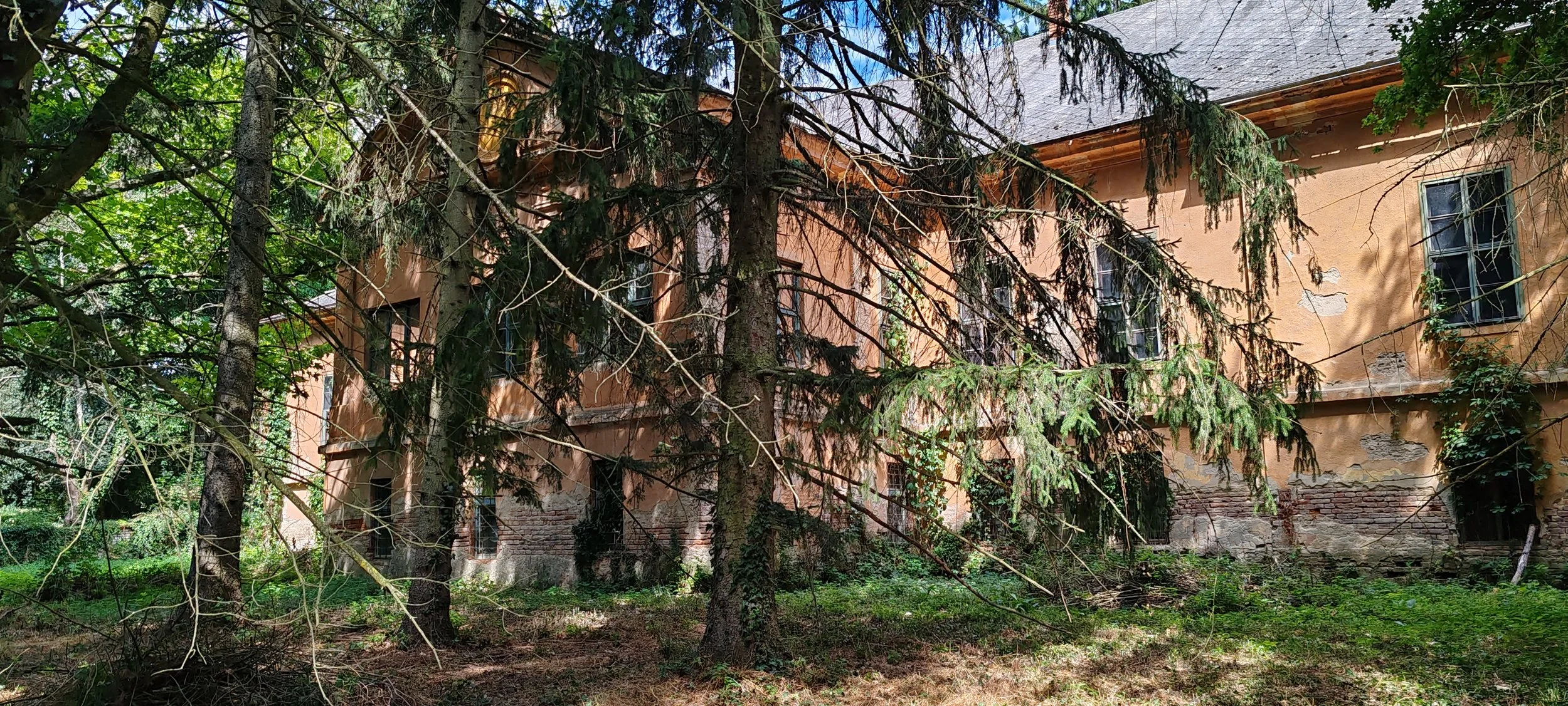 Verfallenes Haus im Wald, umgeben von Tannenbäumen, mit beschädigter Fassade und Fenstern.