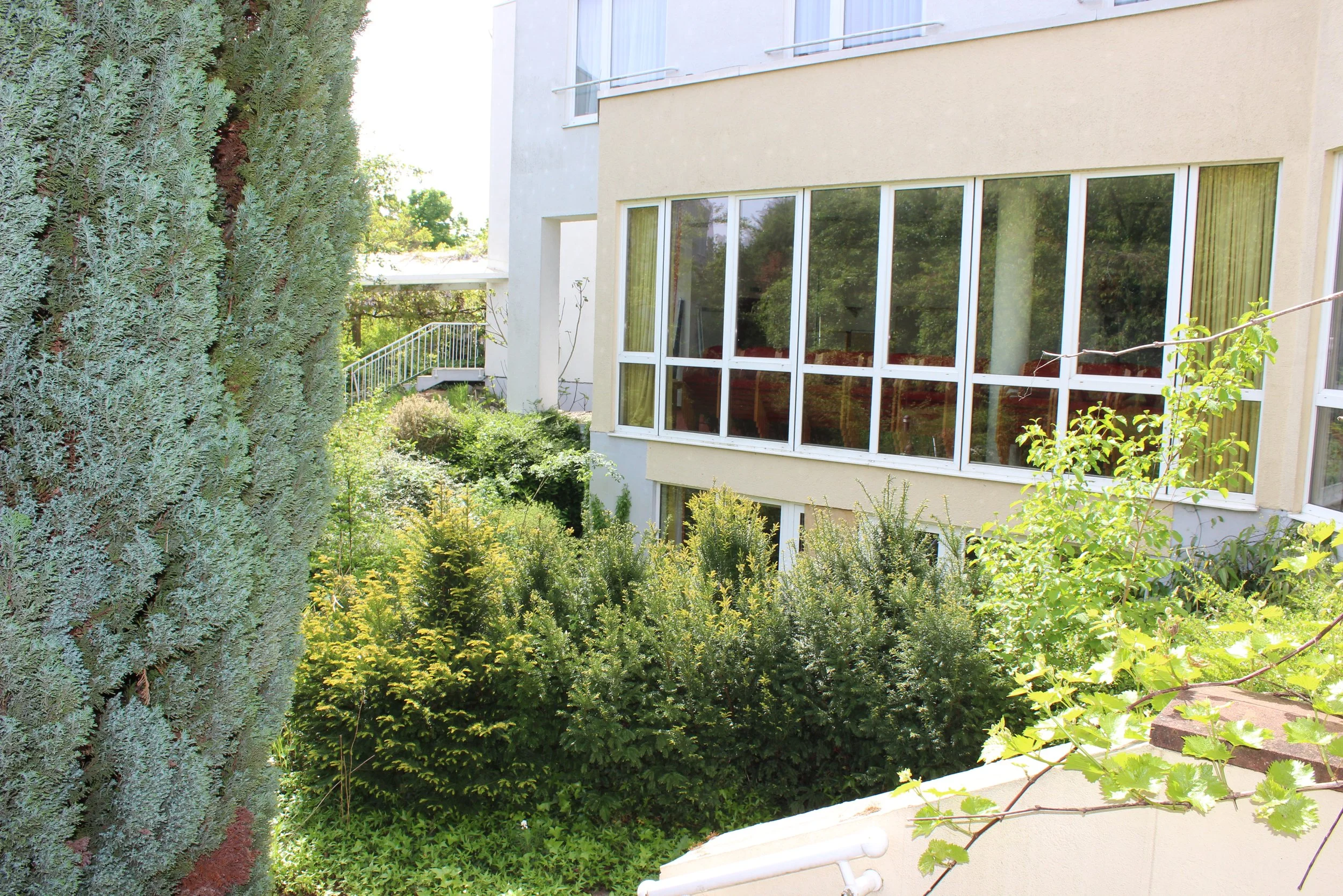 Grüner Garten mit Bäumen und Büsche vor einem modernen Gebäude mit großen Fenstern