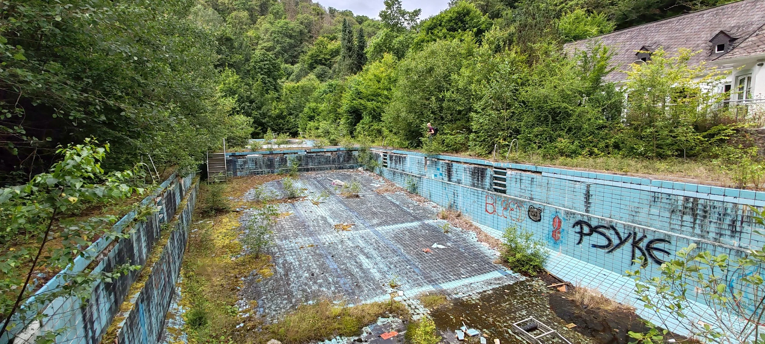Ein verlassener, unbenutzter Swimmingpool in einer grünen Umgebung, überwuchert mit Pflanzen und Graffiti an den Wänden.