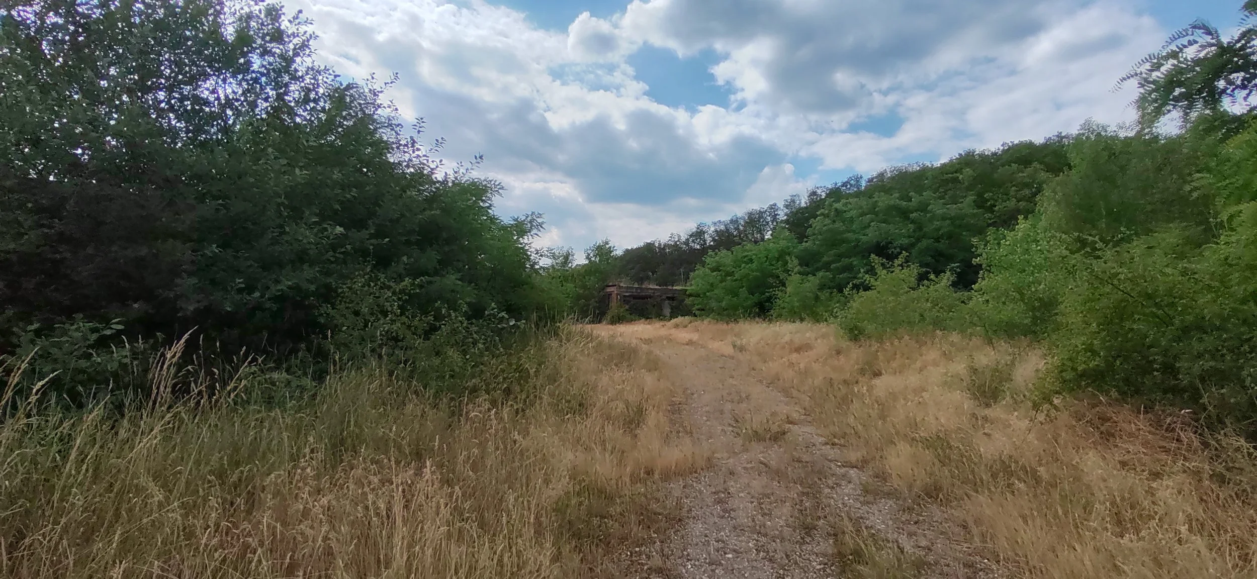 Ein unbefestigter, schmaler Weg, umgeben von hohen, trockenen Gräsern und dichtem Grün an beiden Seiten, führt zu einer kleinen Brücke im Hintergrund unter einem bewölkten Himmel.