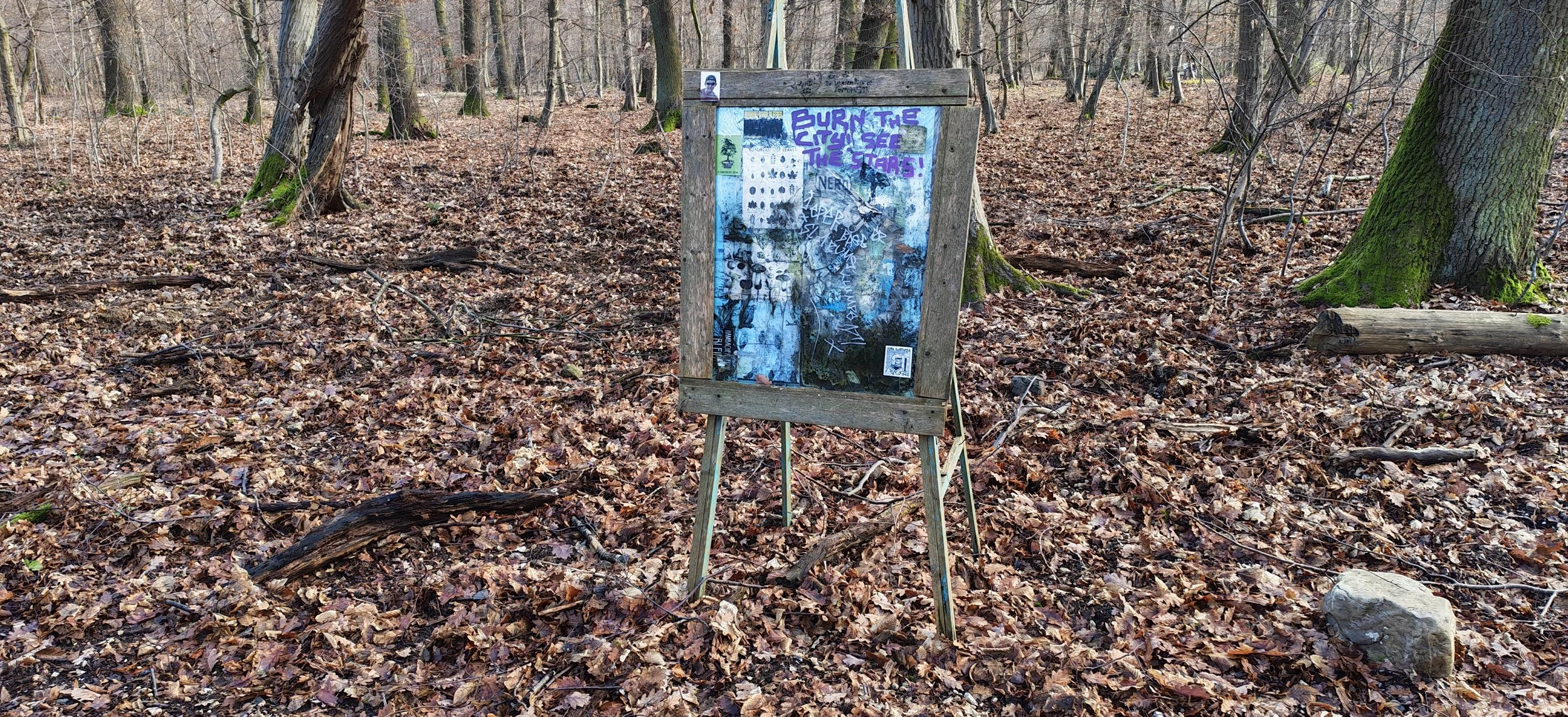 Ein Holzzaun mit einem Informationsschild steht im Laubwald. Das Schild ist mit Graffiti und Aufklebern bedeckt, und darauf steht in lila Buchstaben "BURN THE CITY, SEE THE STARS!"