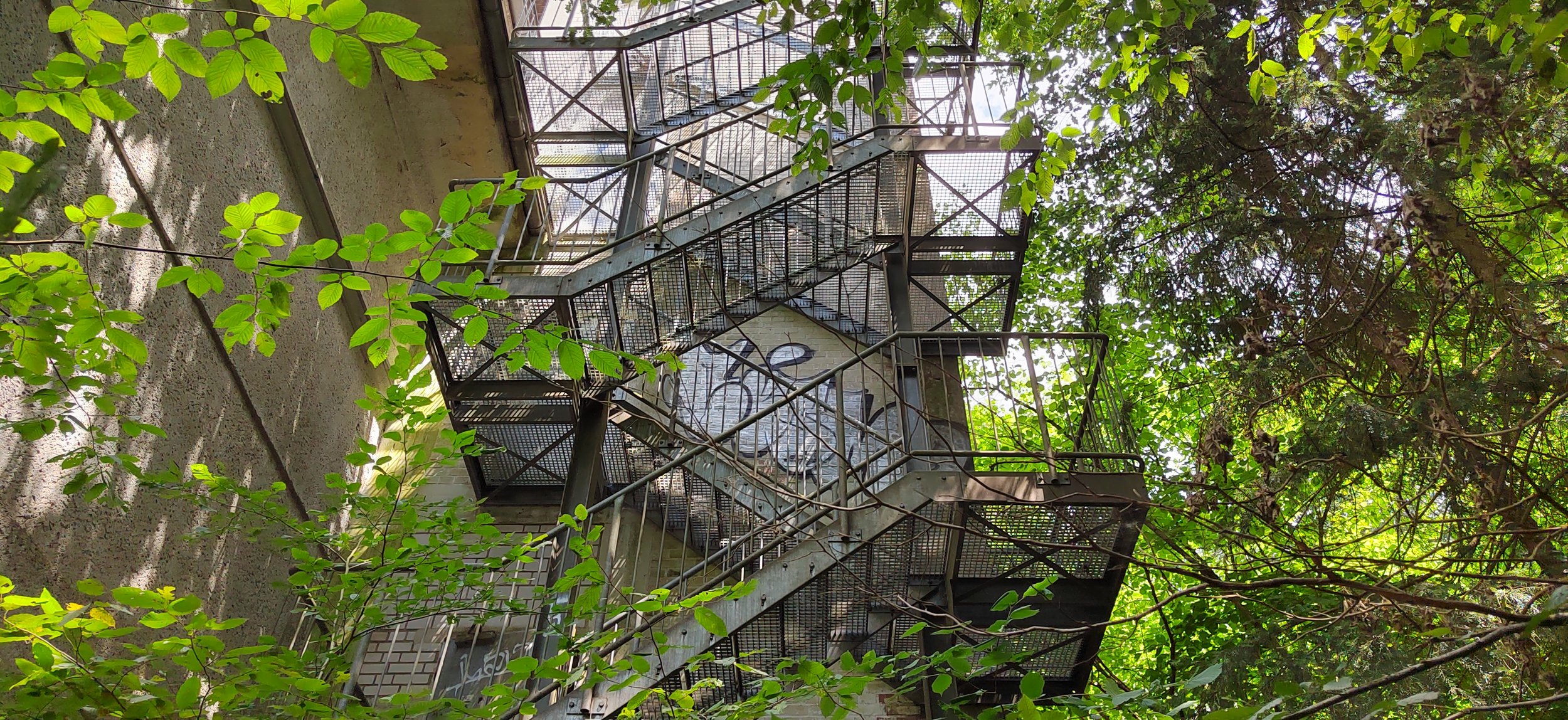 Mehrstöckige Metalltreppe von unten fotografiert, umgeben von grünen Blättern und Bäumen.
