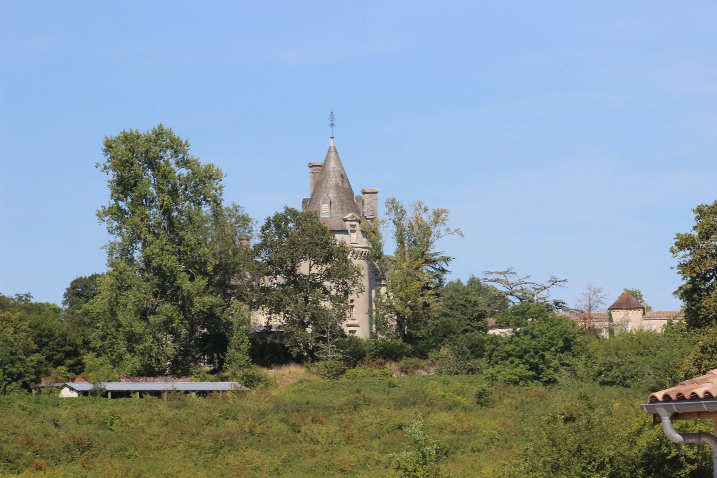 Ein mittelalterliches Schloss auf einem Hügel, umgeben von Bäumen und Vegetation, mit einer blauen Himmel im Hintergrund.