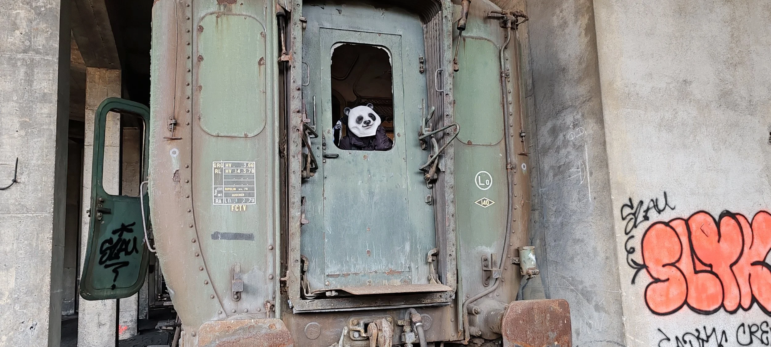Ein Panda mit einer Jacke schaut durch die offene Tür eines alten, grünen, verrosteten Zugwagens, vor grau-braune Betonmauern mit Graffiti.