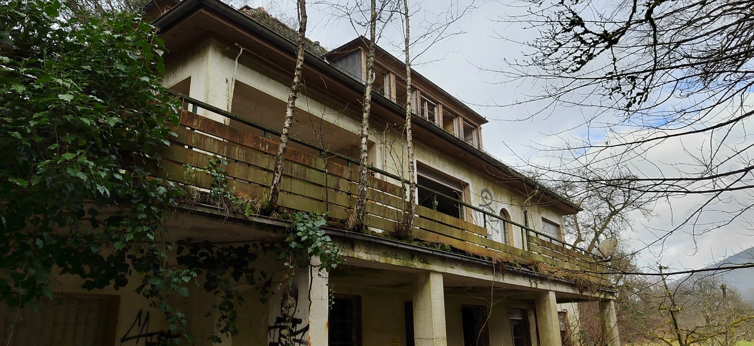 Verfallene, braun gereifte Mehrfamilienhaus mit einer auf dem Balkon und im Garten wuchernden Brombeere.