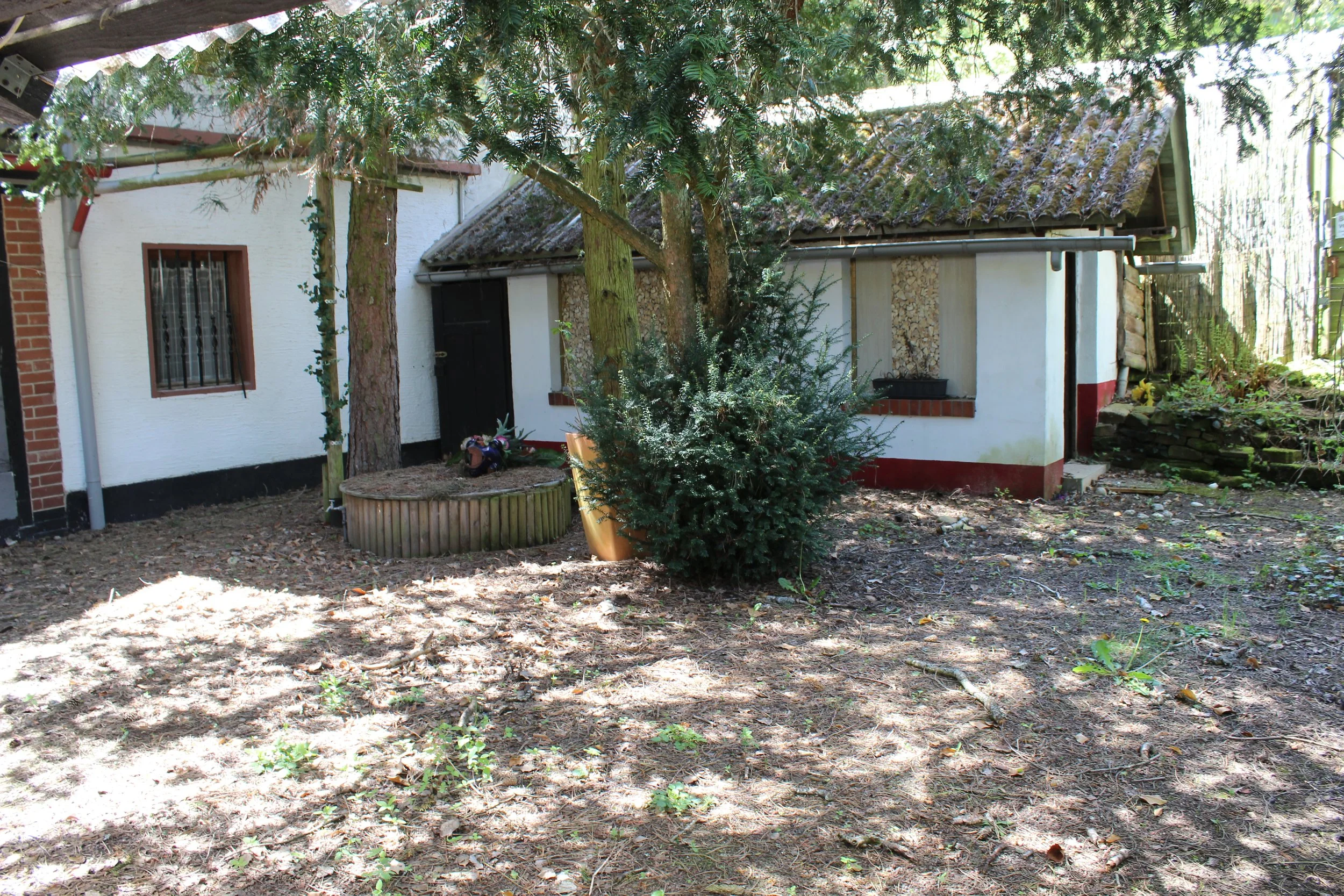 Garten mit einem Baum, einem Strauch und einer kleinen Holzhütte, umgeben von Bäumen und mit Schatten auf dem Boden.