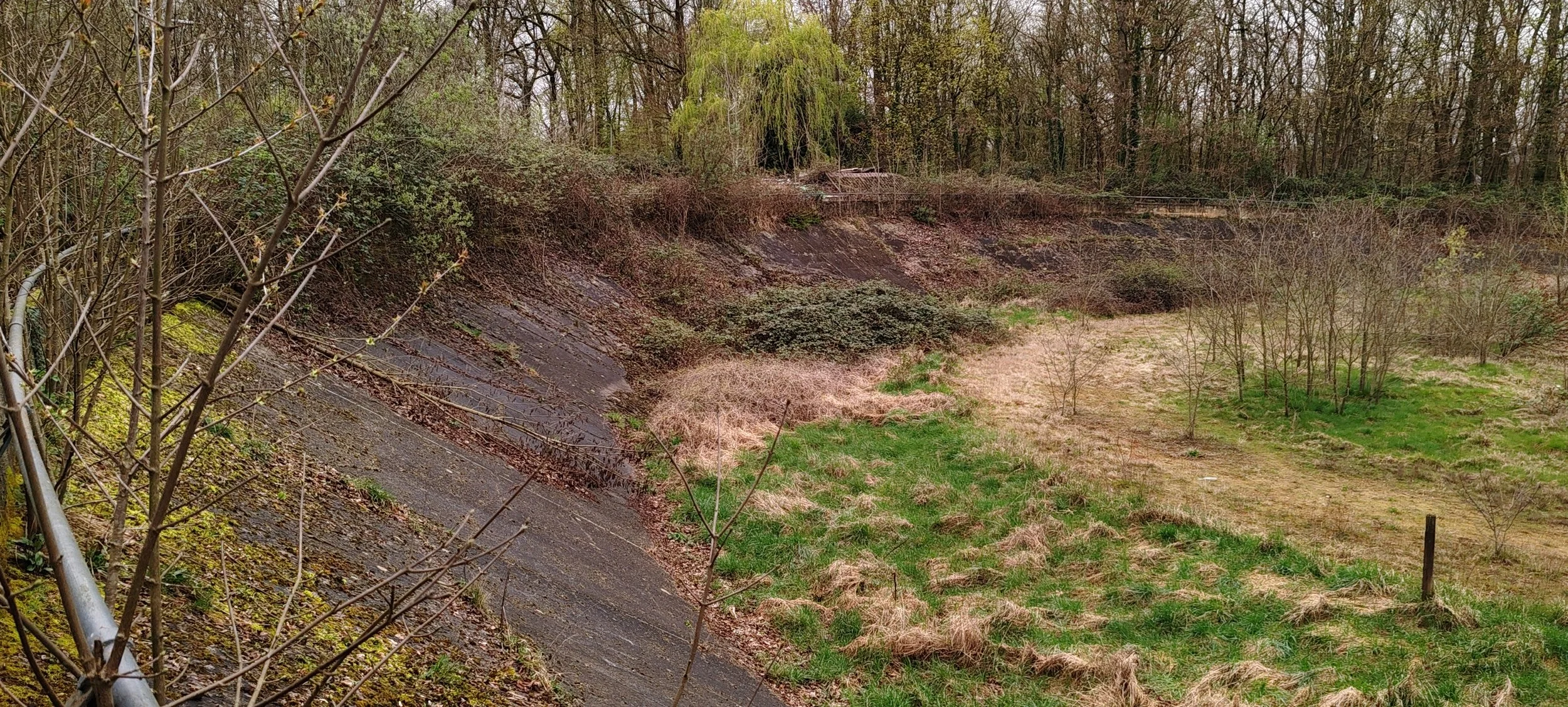 Ein Blick auf eine Böschung mit bewachsenen Flächen, Bäumen und Sträuchern im Hintergrund, im Vordergrund eine offene, leicht bewachsene Fläche.