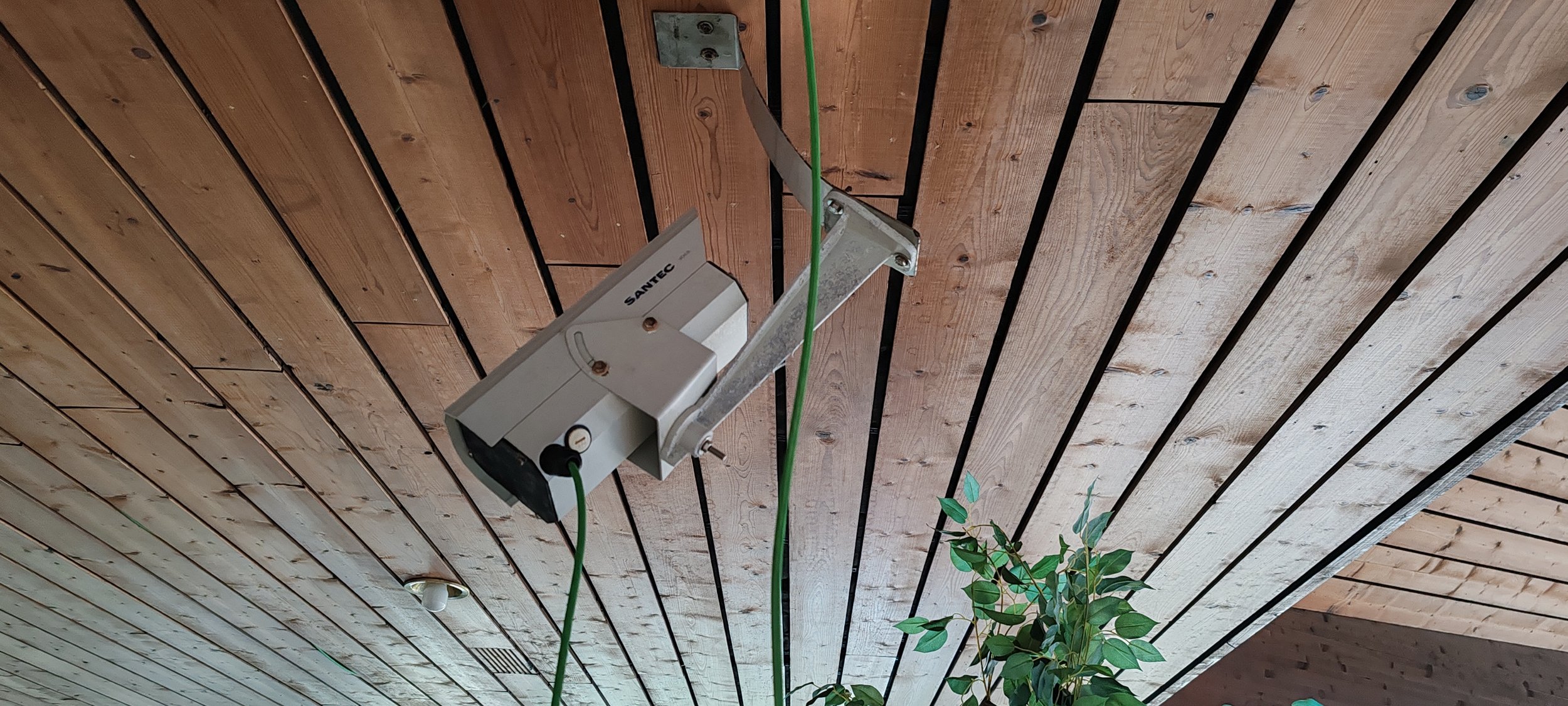 Decke aus Holzlatten mit installiertem elektrischen Gerät, grüne Kabel, Bedienungselemente, und eine grüne Pflanze im Vordergrund