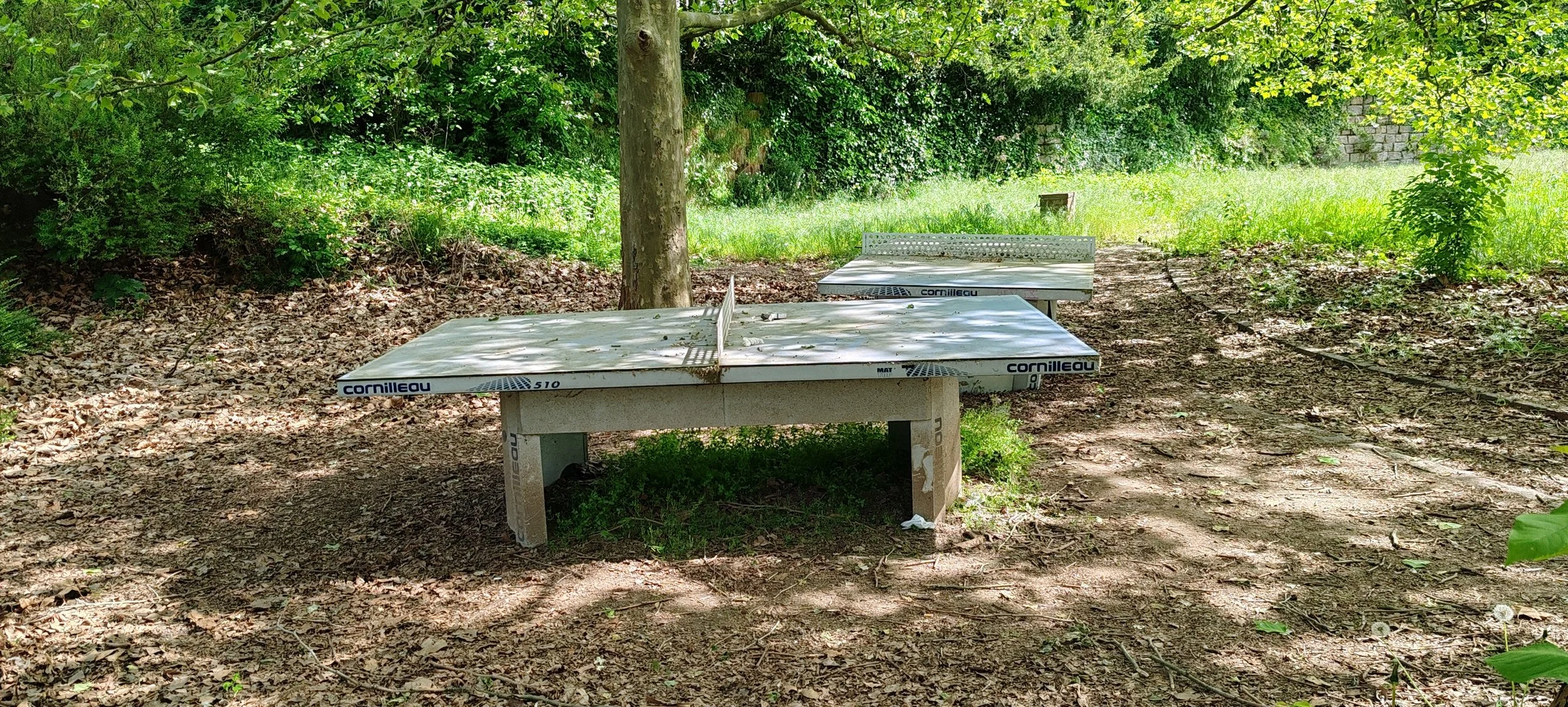 Zwei Tischtennisplatten im Freien in einem schattigen, grünen Park oder Garten.