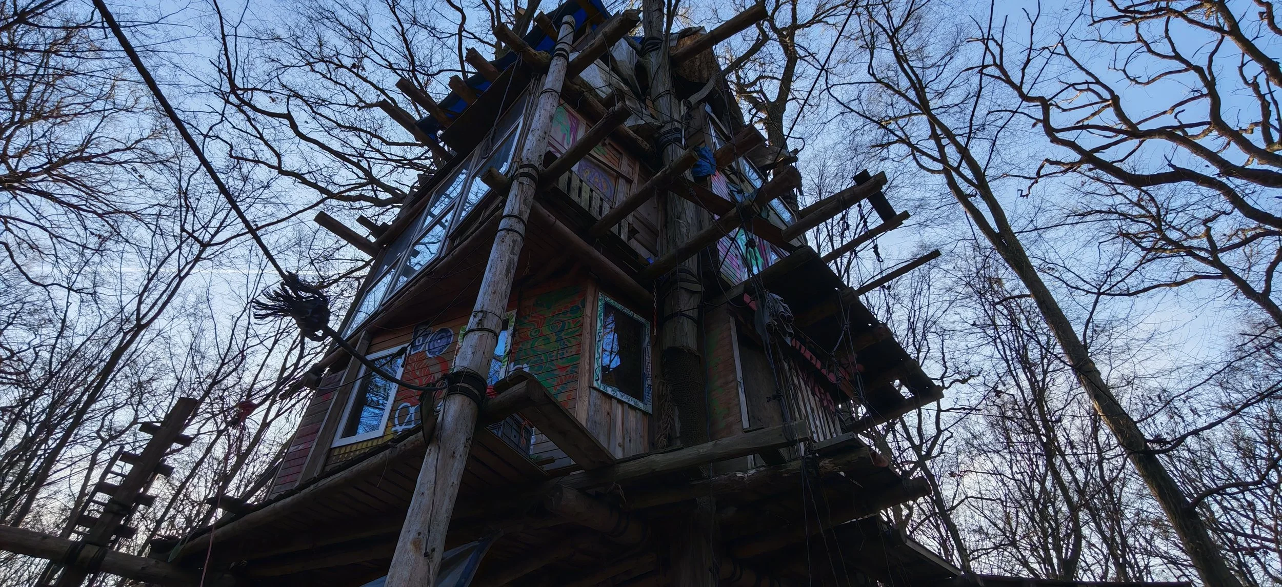 Mehrstöckiges Baumhaus in einem Wald mit vielen blattlosen Bäumen, gebaut aus Holz und Glas, Sterne sichtbar am Himmel.