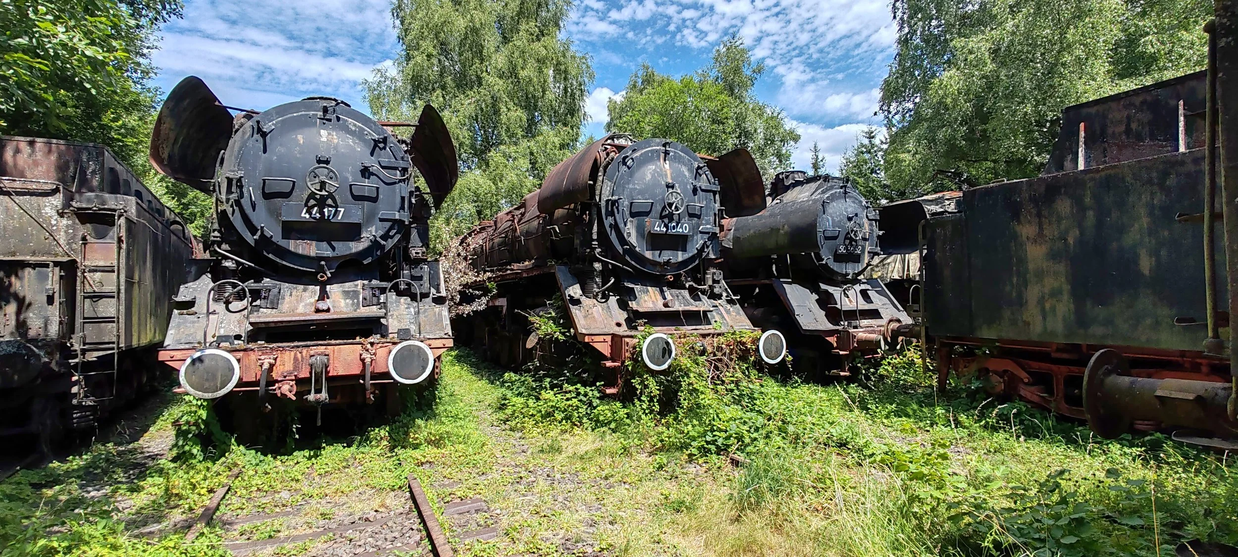 Drei alte verrostete Dampfloktriebwerke stehen auf einem veraltem Güterbahngleis, umgeben von grünen Büschen und Bäumen, bei sonnigem Himmel.