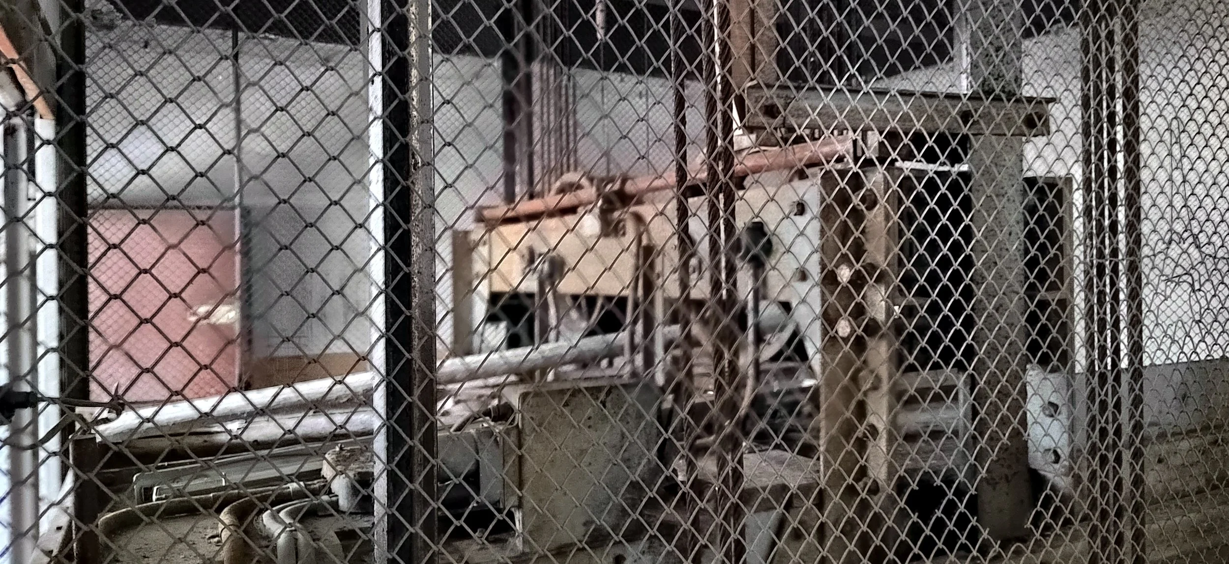 Ein Käfig mit einem Tiger darin, umgeben von Metall- und Holzstrukturen in einer Tierunterkunft.