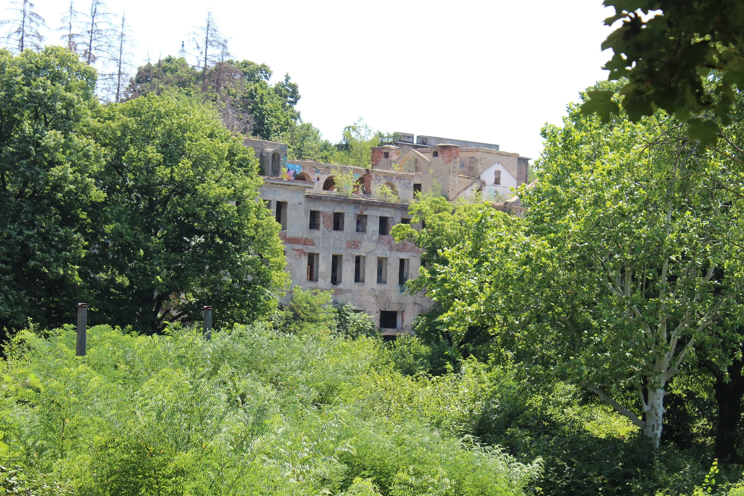 Verfallenes Gebäude versteckt hinter grünen Bäumen in einer bewaldeten Umgebung.