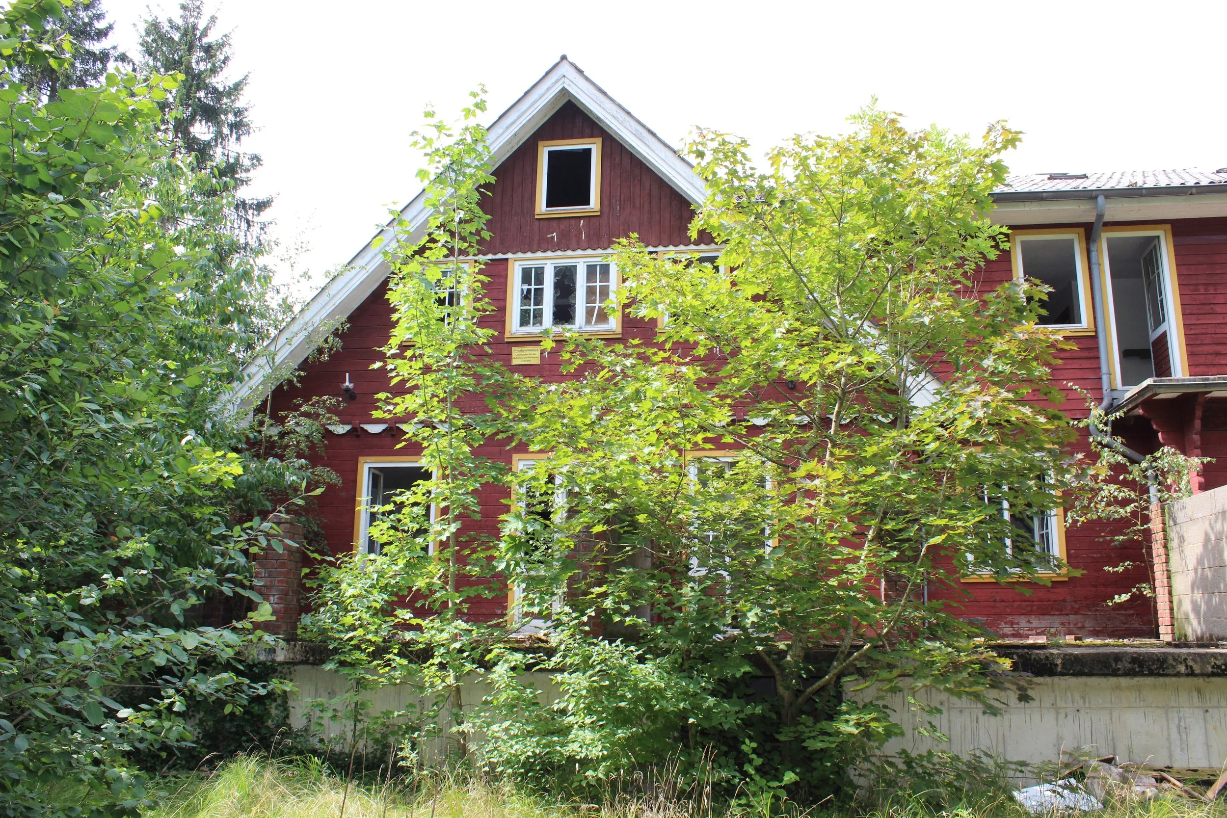 Ein rotes Holzhaus mit mehreren Fenstern steht hinter einer großen, grünen Baumscheibe, die den Blick auf das Haus teilweise verdeckt.