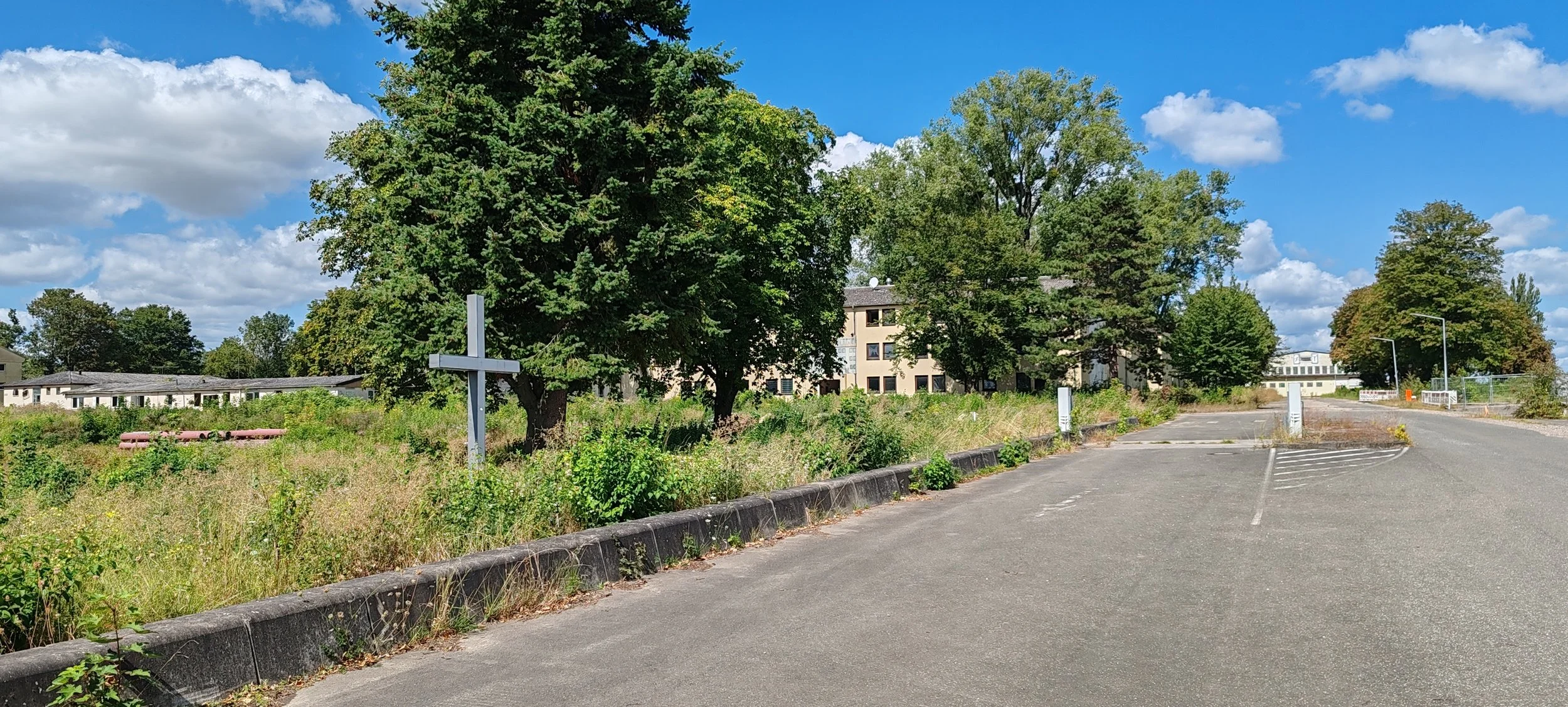 Leerer Parkplatz mit überwucherndem Grünstreifen, Bäumen und einem Gebäude im Hintergrund bei sonnigem Himmel mit Wolken.